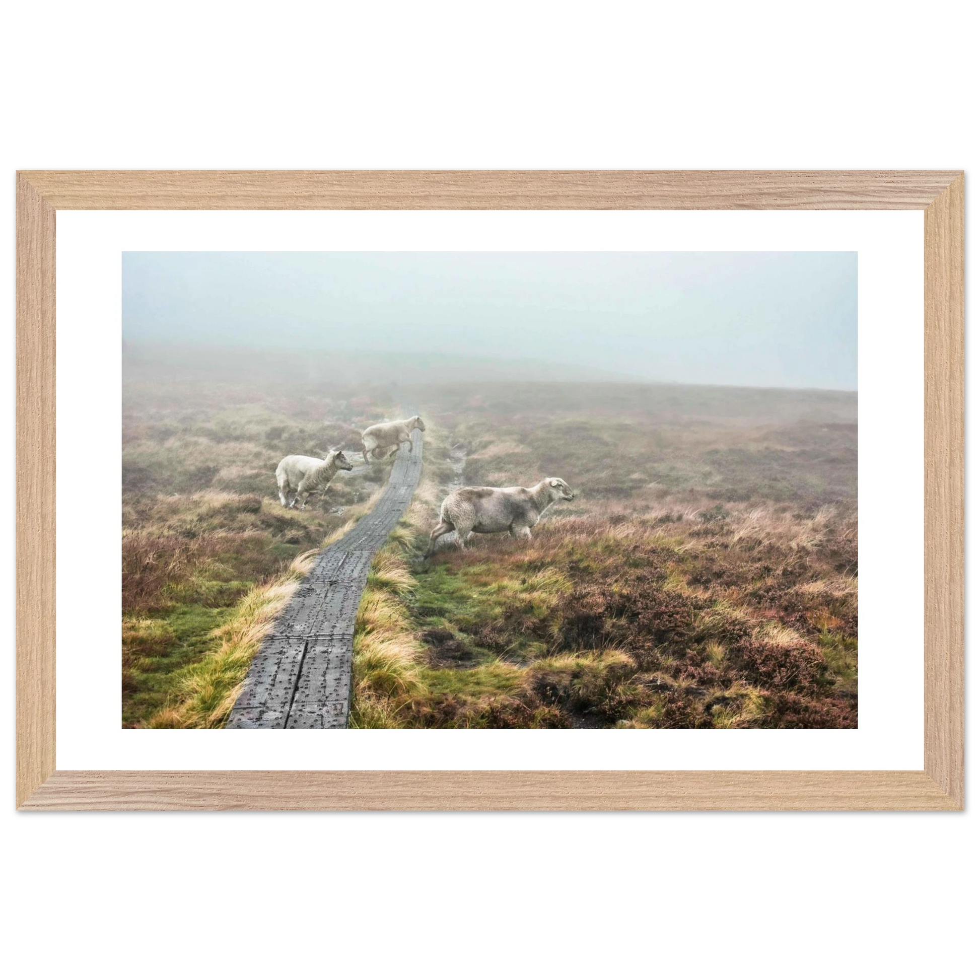 6d9959f2-be55-4c6e-b59b-8cda36130d50