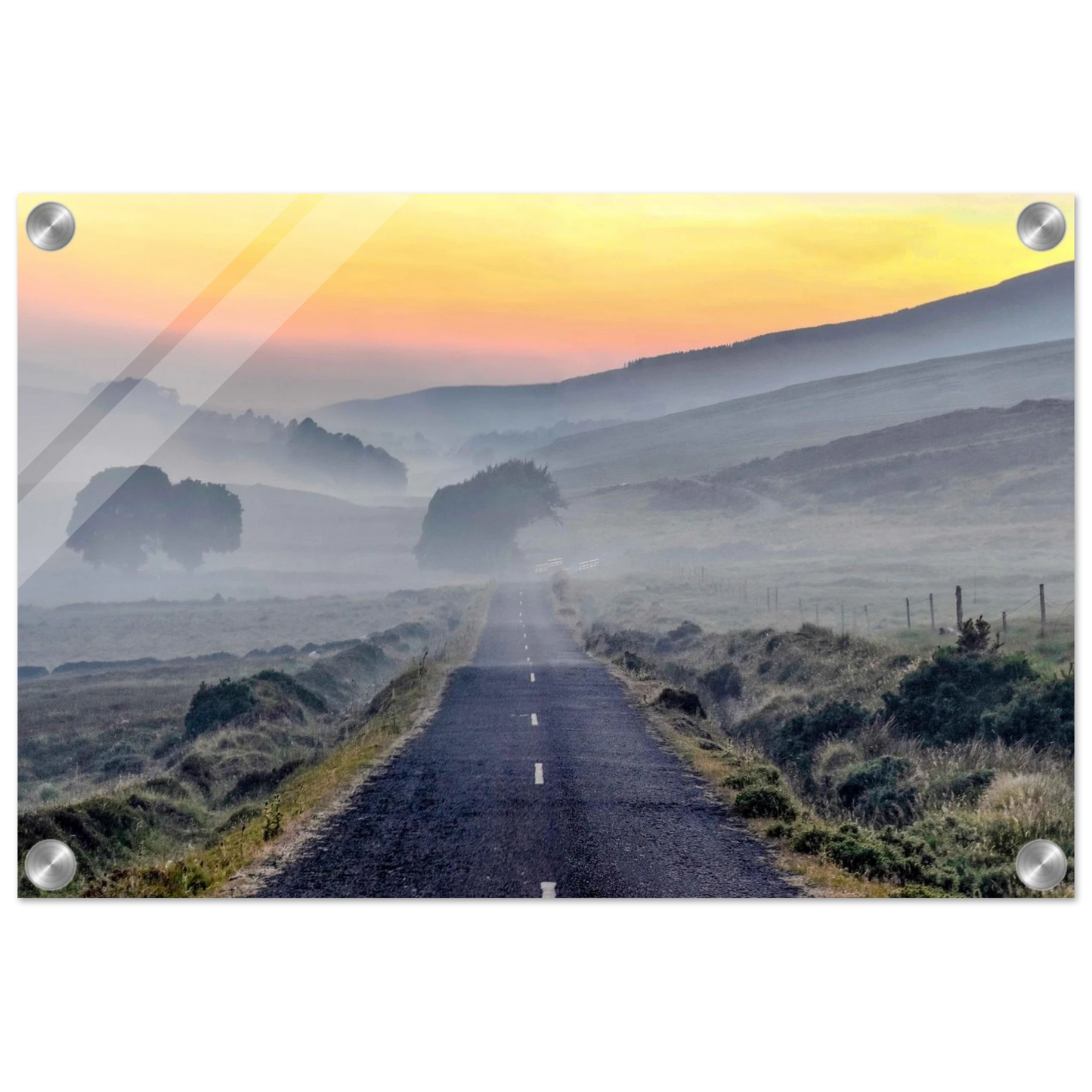 6e52908d-5a3e-49f6-9203-c6ebb0d0909f