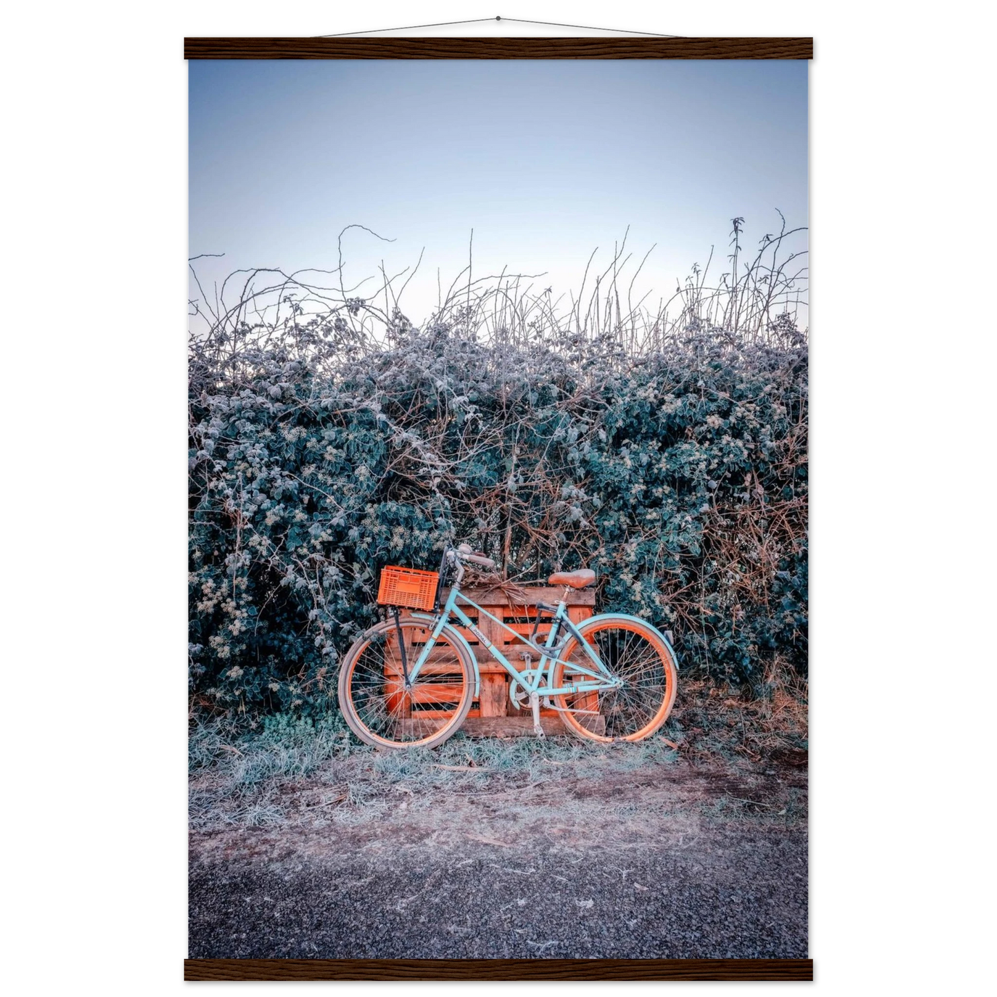 6e5e1491-8353-4fc4-a1de-f8dab399ab00