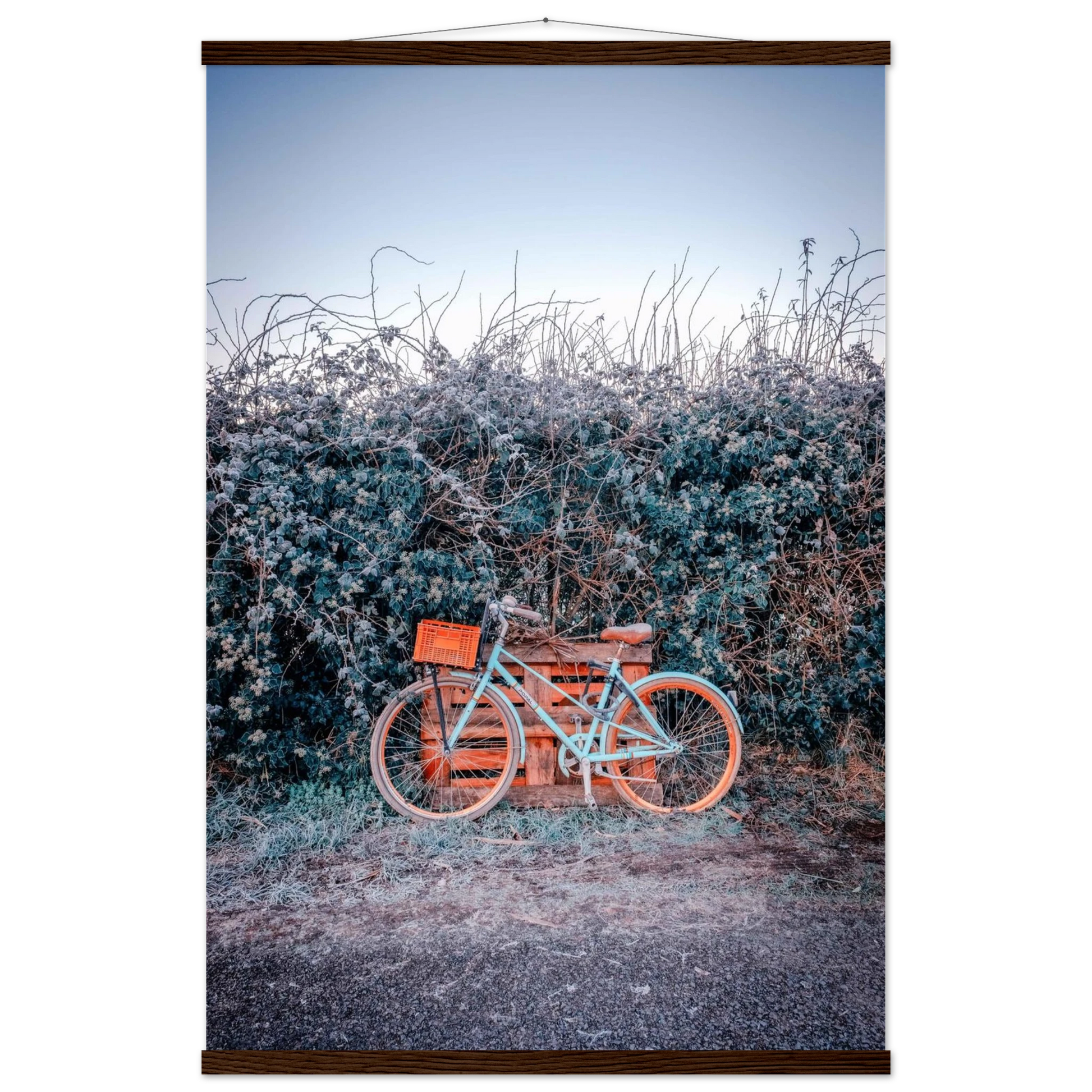 6e5e1491-8353-4fc4-a1de-f8dab399ab00