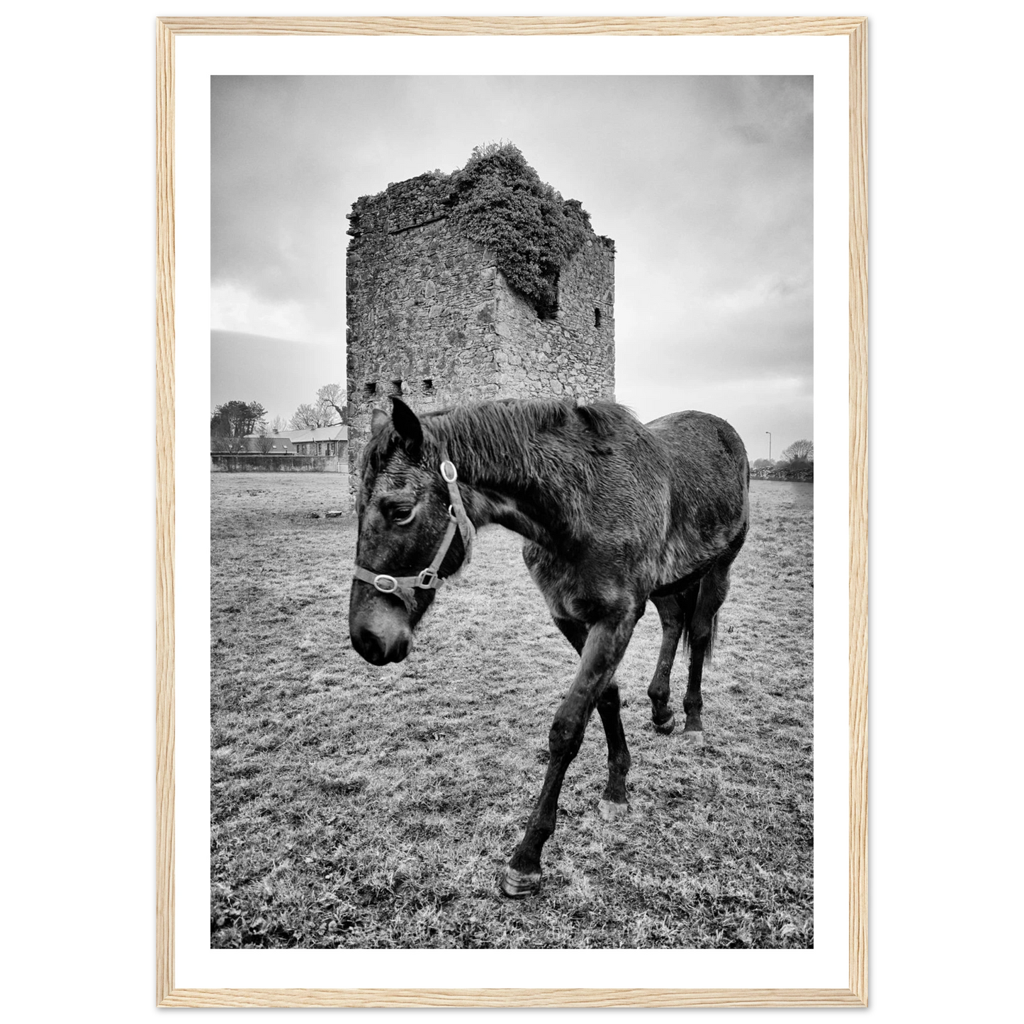 6eb018b4-2ed8-4e55-85cc-240bc6e3617b