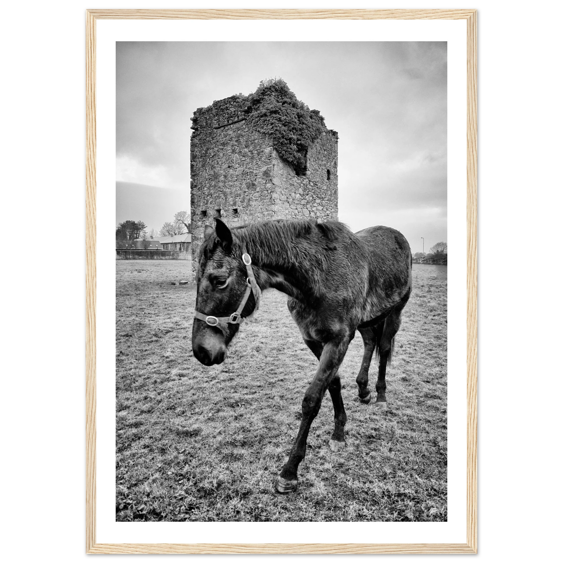 6eb018b4-2ed8-4e55-85cc-240bc6e3617b