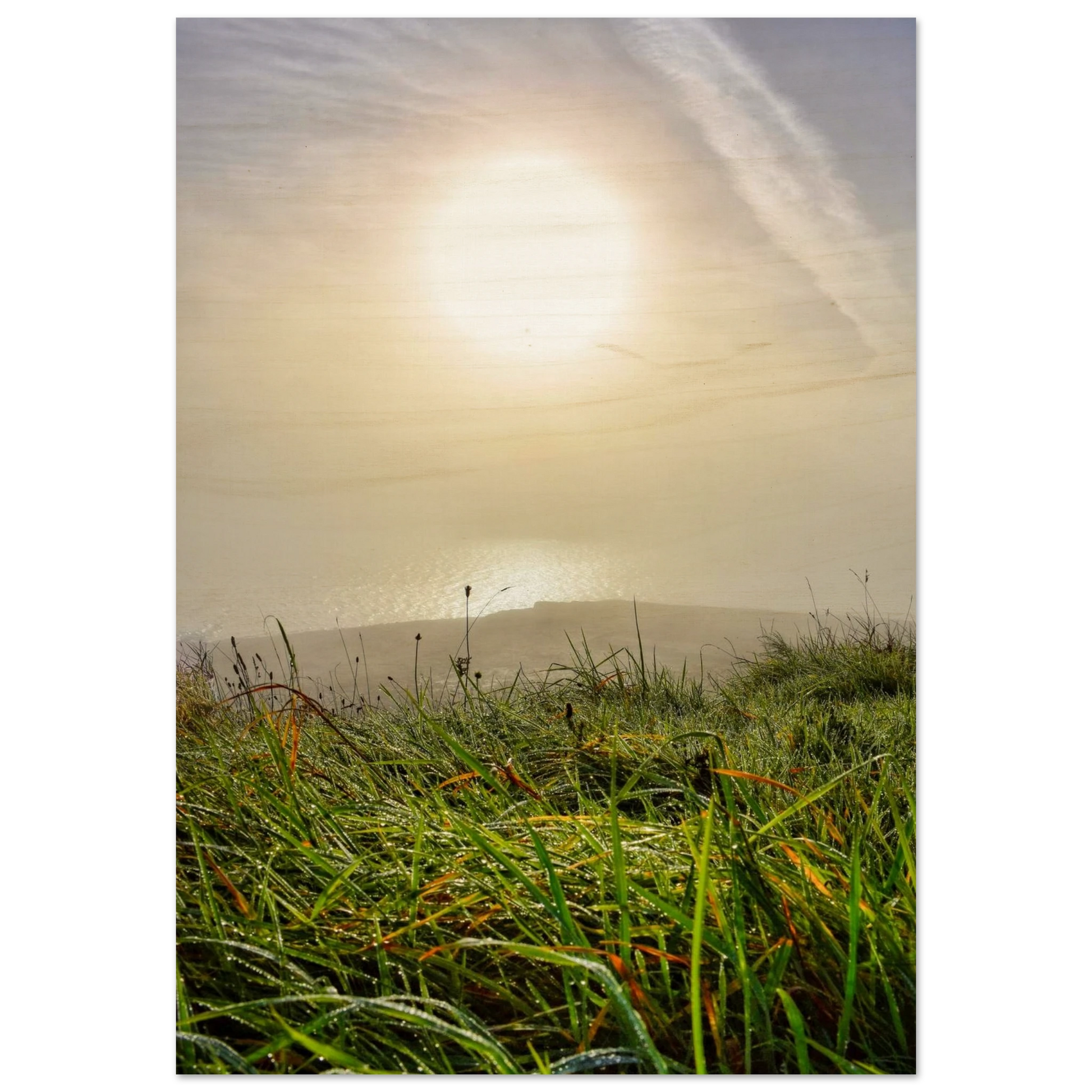 6edc5ea9-3328-48b9-b159-ee7105ce1f4d