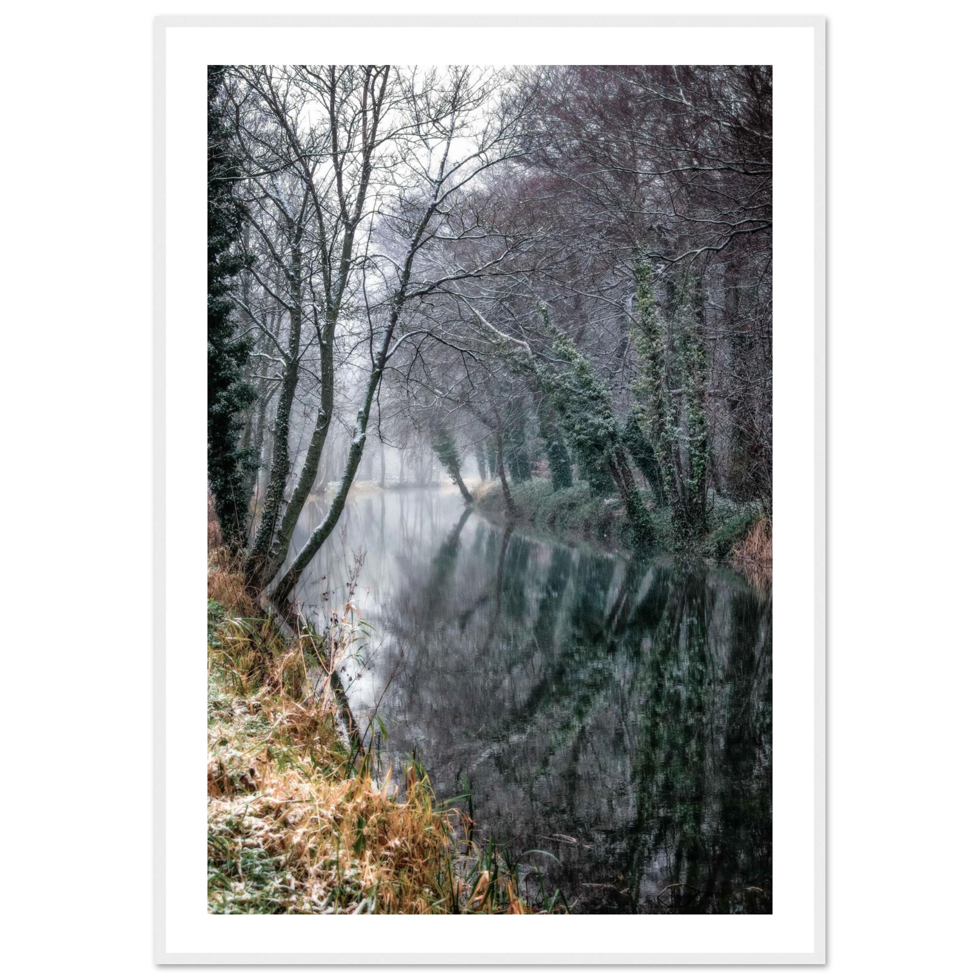 6ee403cb-d36e-4e22-80e9-8ecaf1da7b3f