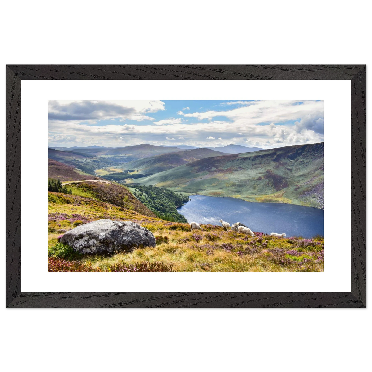 6f116887-760c-4b89-a072-8874e2639d3a