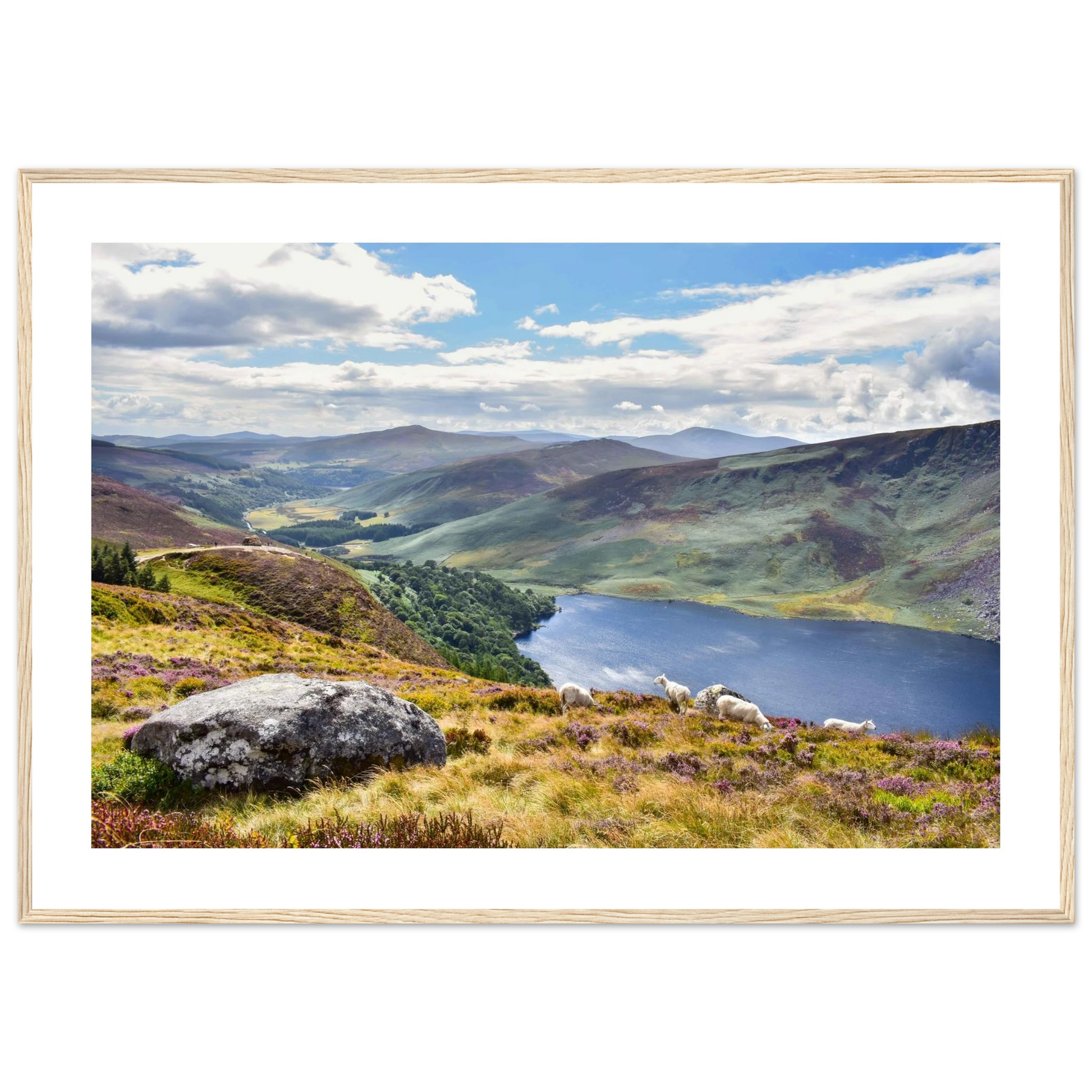 6fd379ed-65e6-4a6e-9b78-8810d2474e13