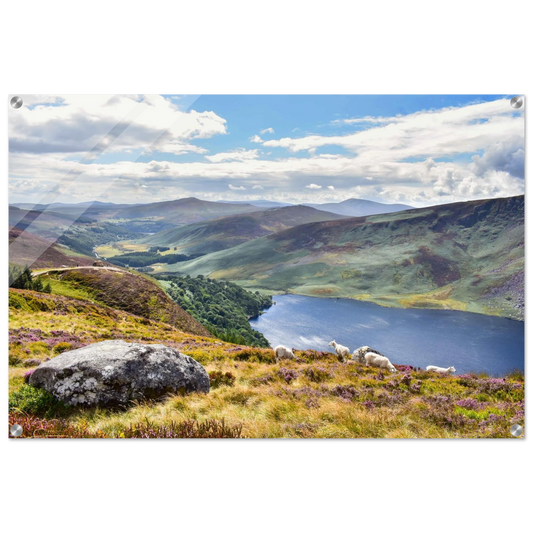 7161ad0a-bb33-4bb3-b75b-9d9cf2cbc78a