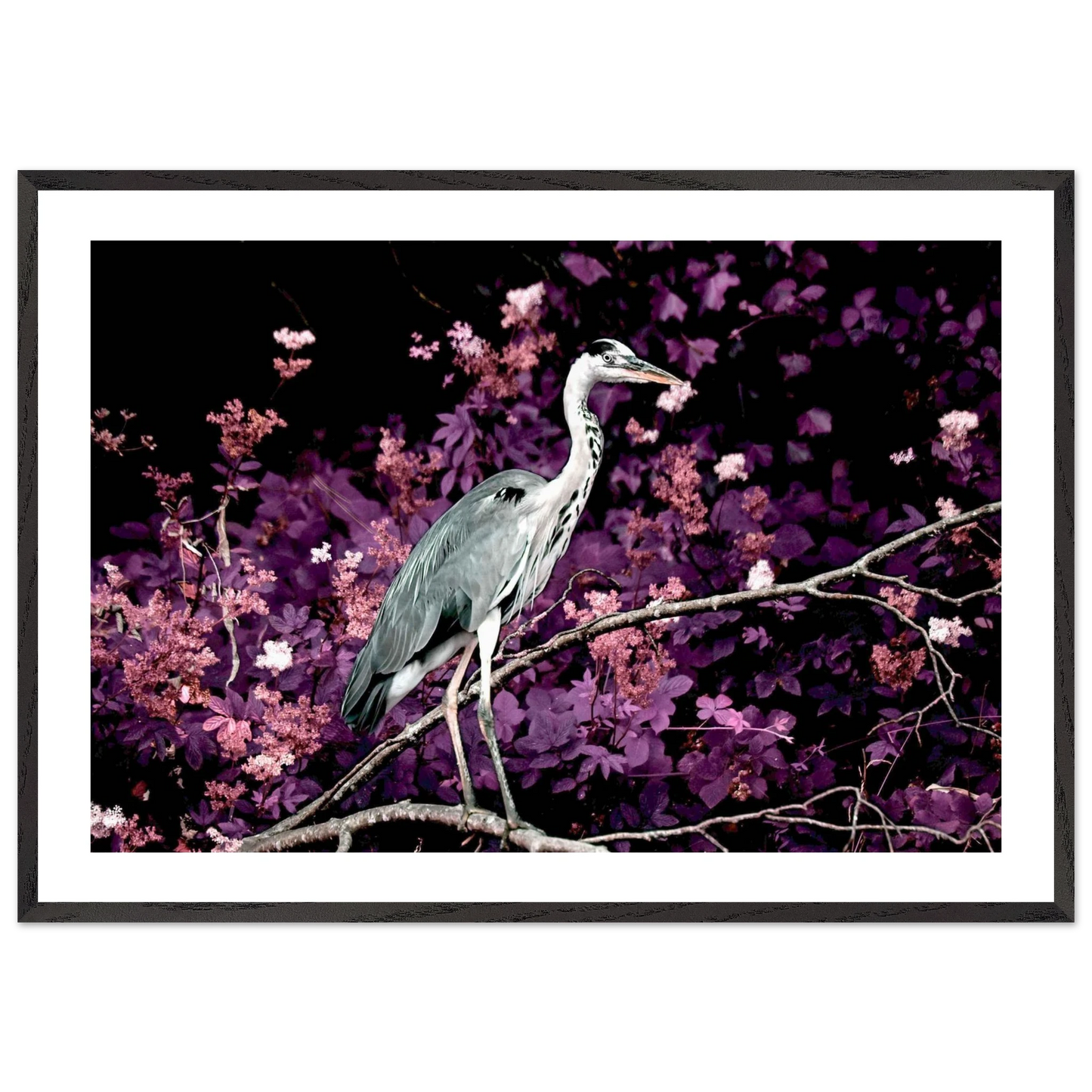 71655f7f-f4d5-49bf-8035-7add1c01cd2a