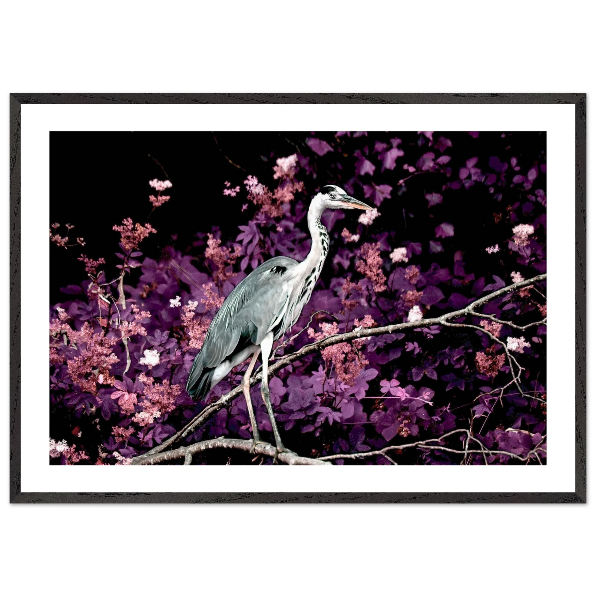 71655f7f-f4d5-49bf-8035-7add1c01cd2a