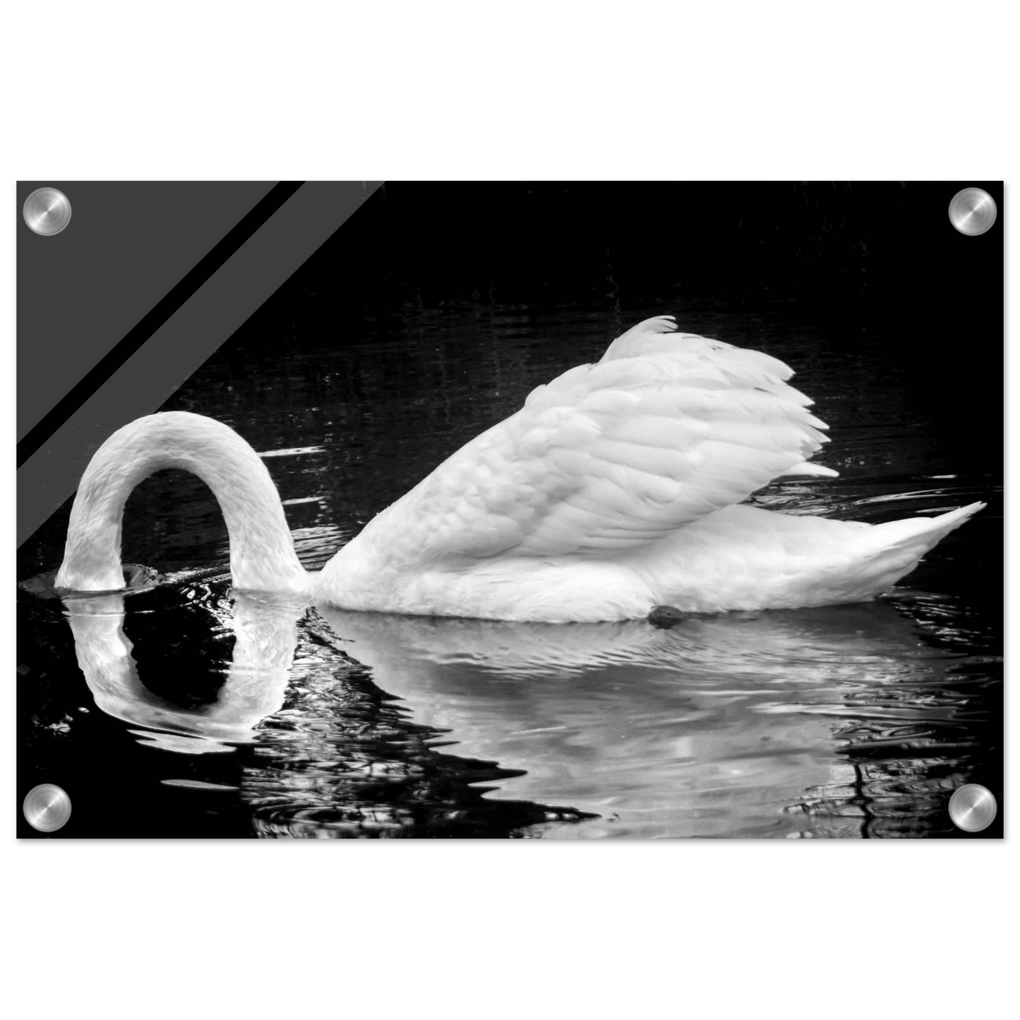 72787e89-352b-4d91-990f-db08605be9c3