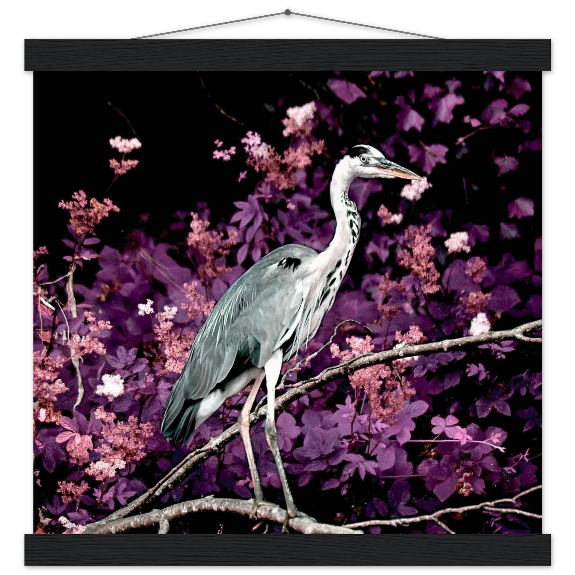 7295bc1a-d63f-4f5e-ba9b-1817be451c84