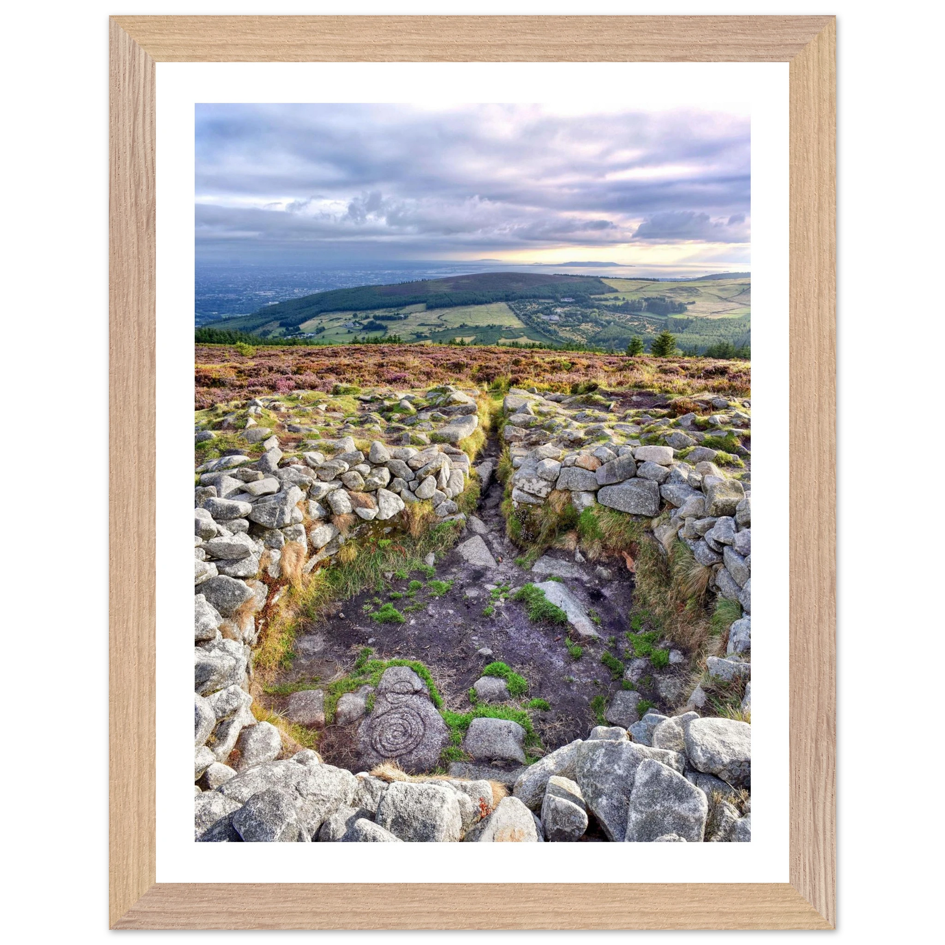 729da614-bc32-4c00-b4e6-4549fc52c9f4