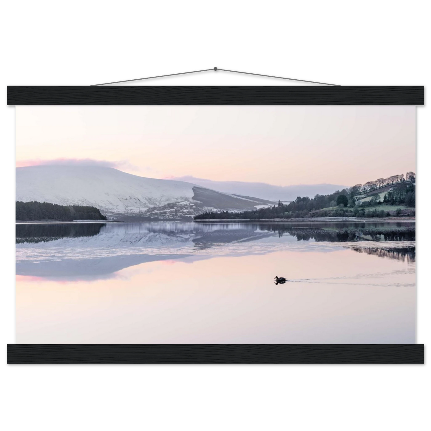 72b54aa6-2fbf-45b6-8ac9-77a6596027ff