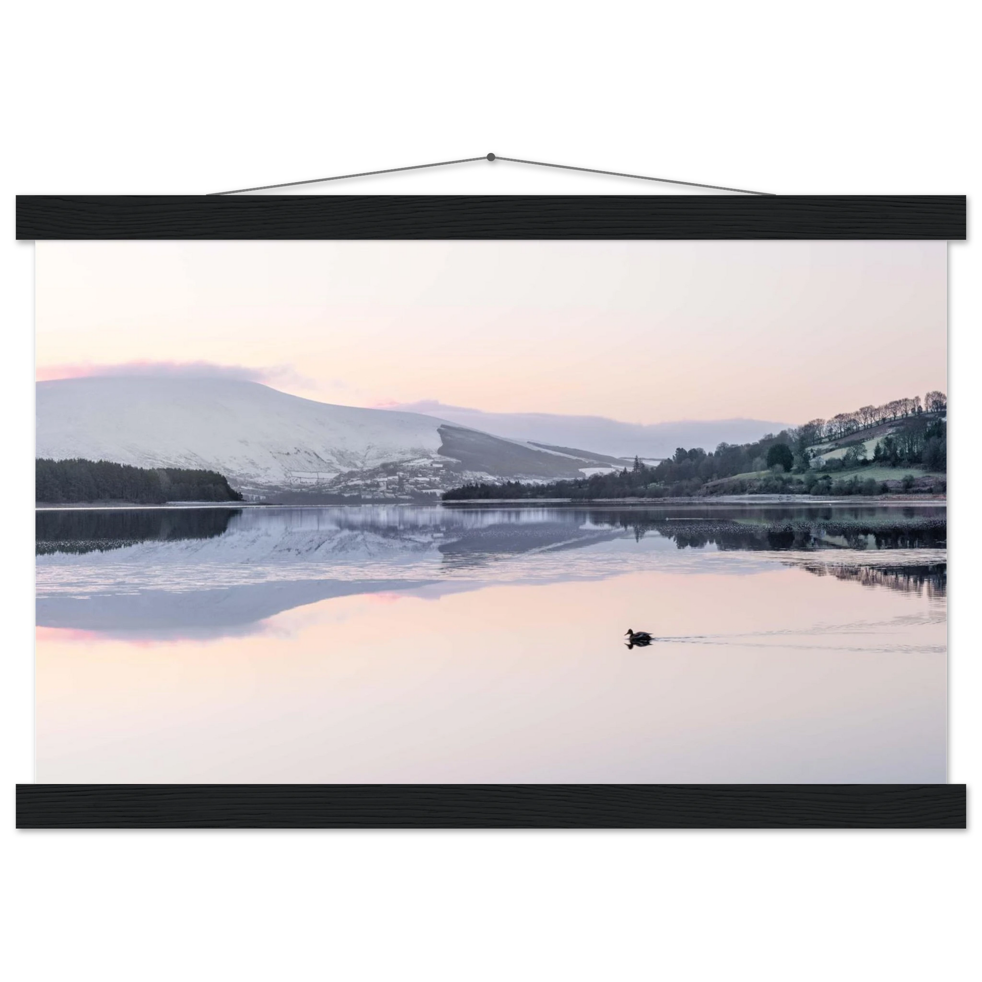 72b54aa6-2fbf-45b6-8ac9-77a6596027ff