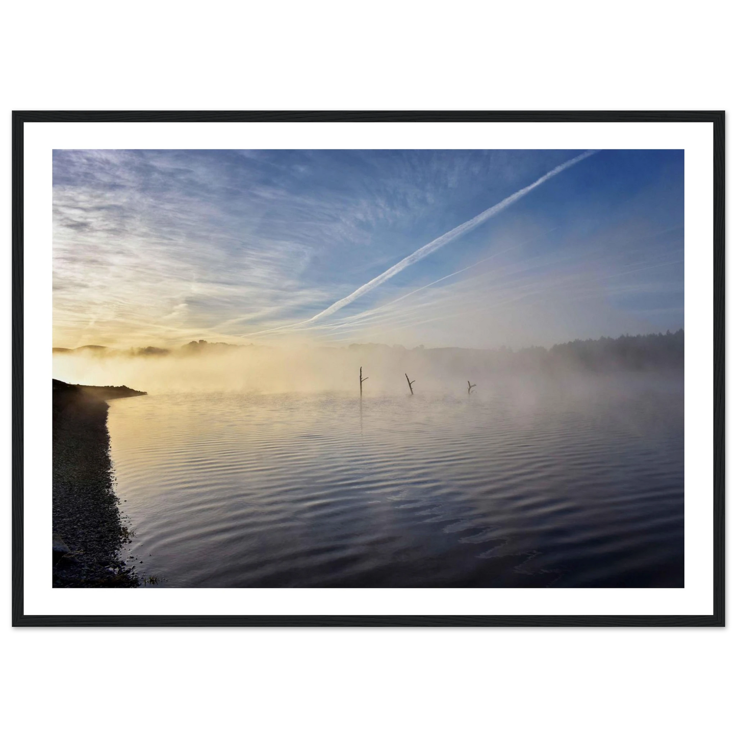 733c83ce-99a4-4d64-a4db-4536034cf02a