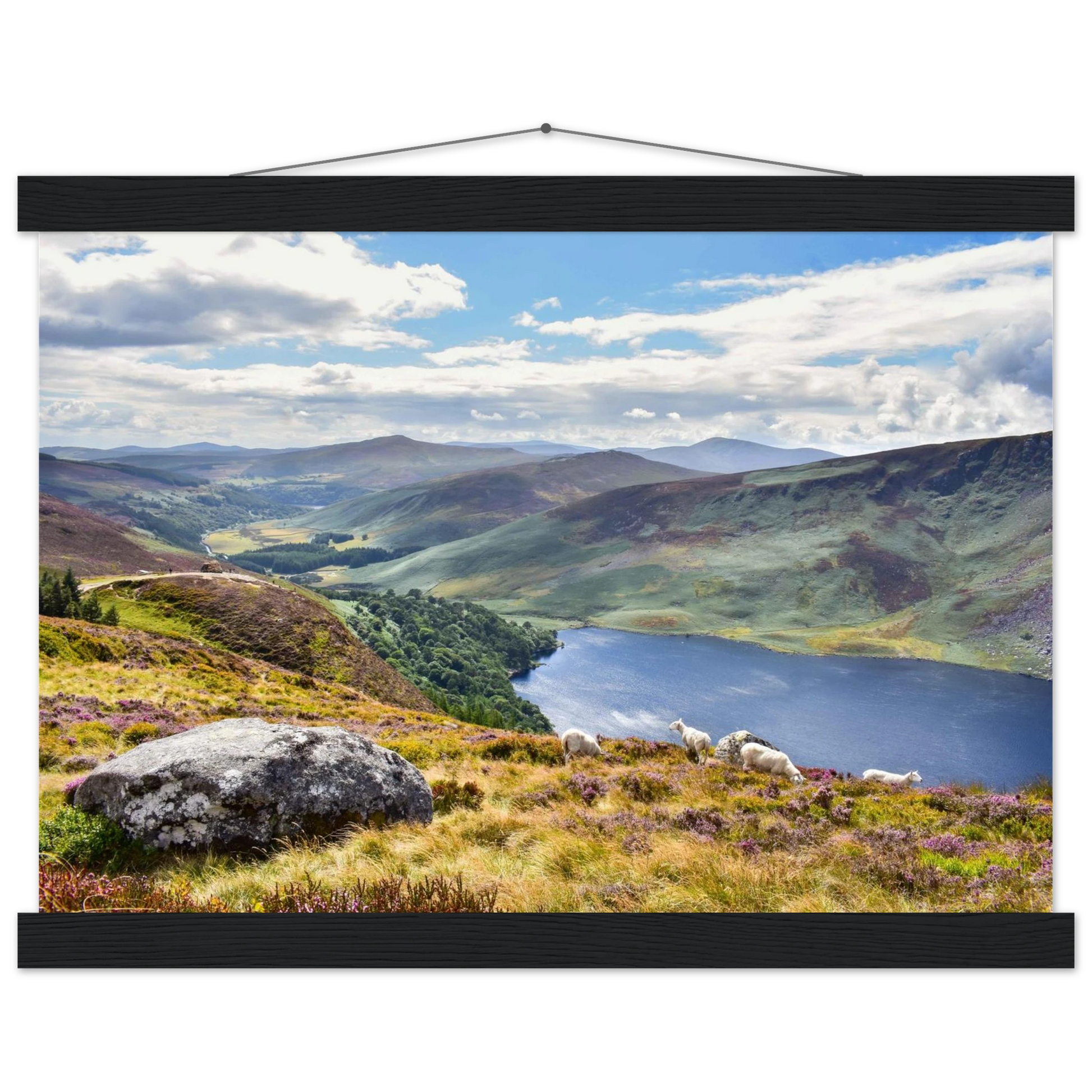 73c9c100-d69f-41e4-a364-6de6adf38ef0