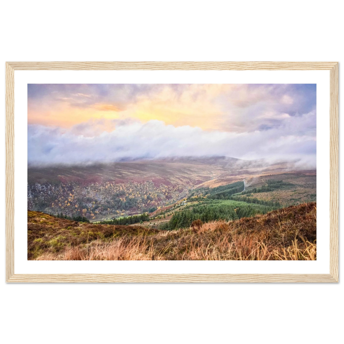 73fba233-e738-40e8-ac55-c3dfc7a7736a