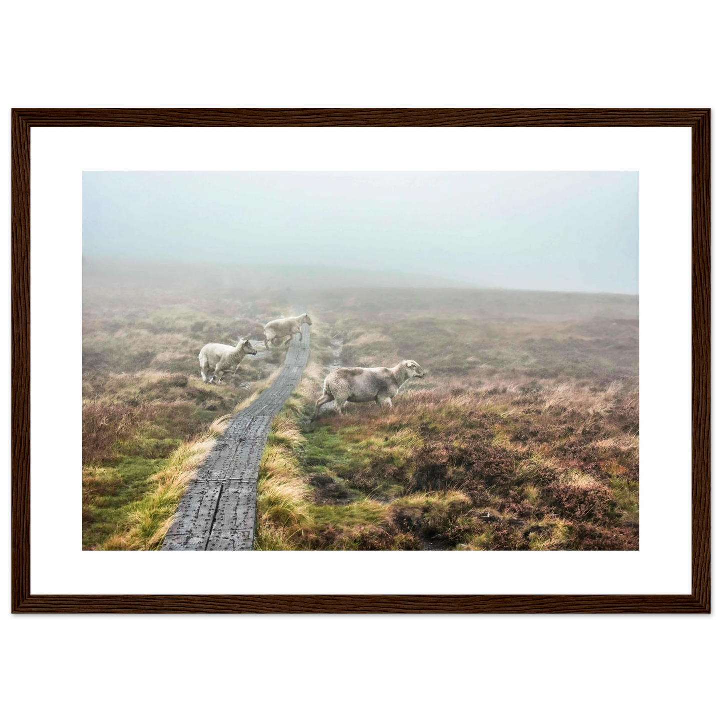 74cd8bc4-6e65-4906-abf5-d6170d9d7b5c