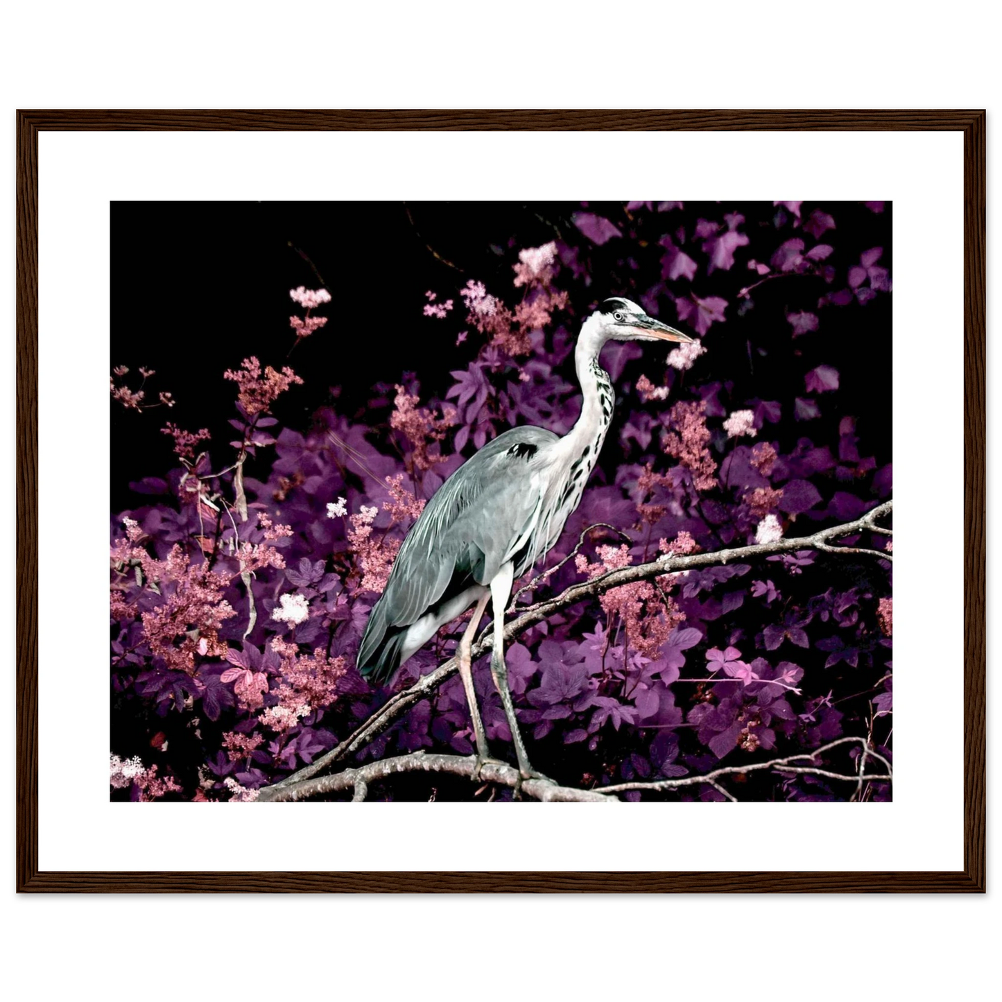 74eca260-384c-45cf-bb9a-1b88b406cfb2