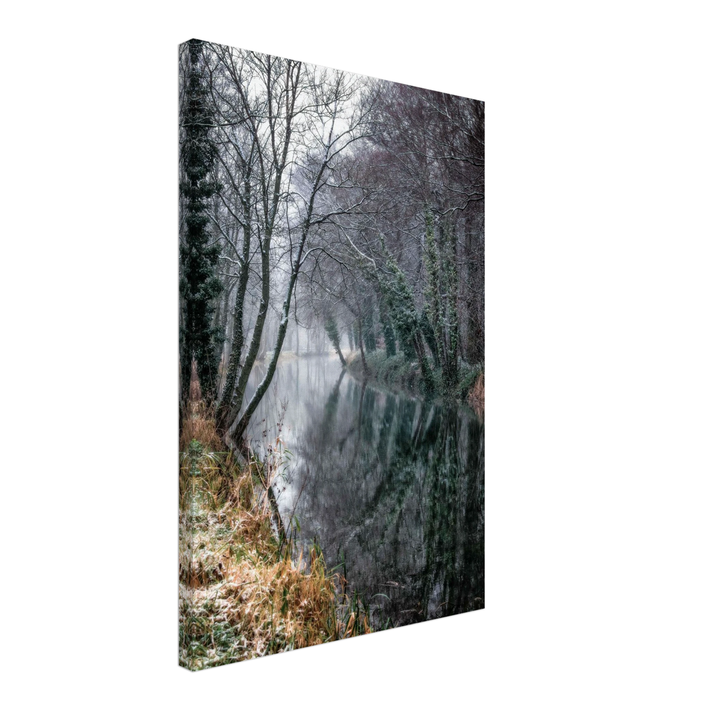 74fcc041-4840-4493-9dad-979447a1518f