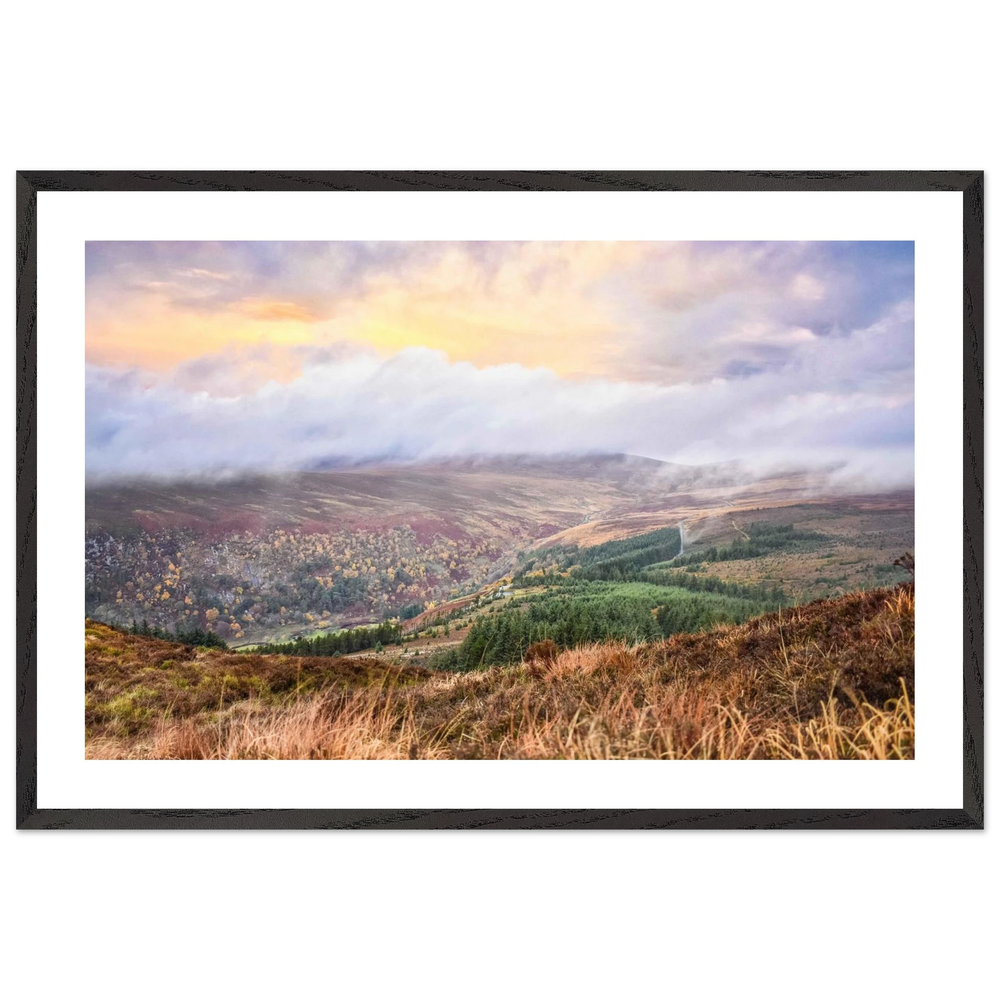 75406633-9a41-483f-b2b5-1cf891a2eedc