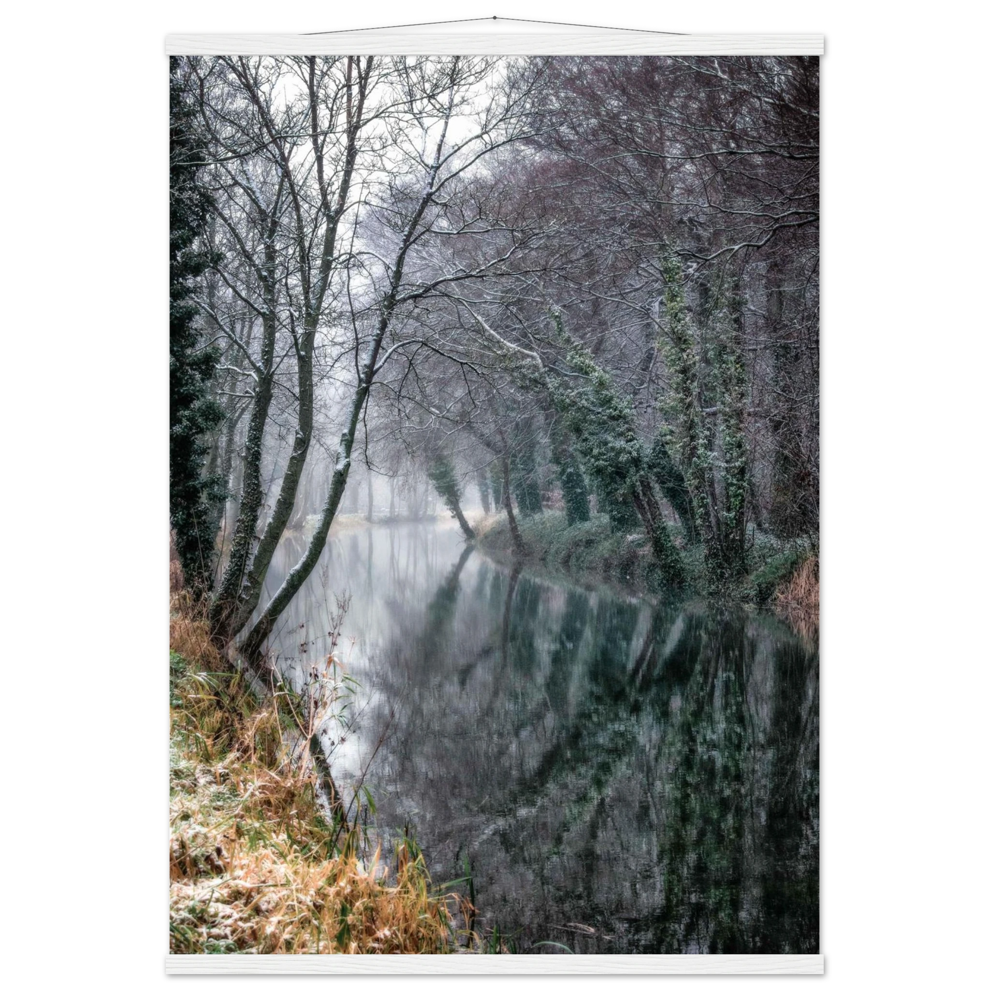 754e6274-85a7-4e4d-a6ea-5d5a1d5925c8