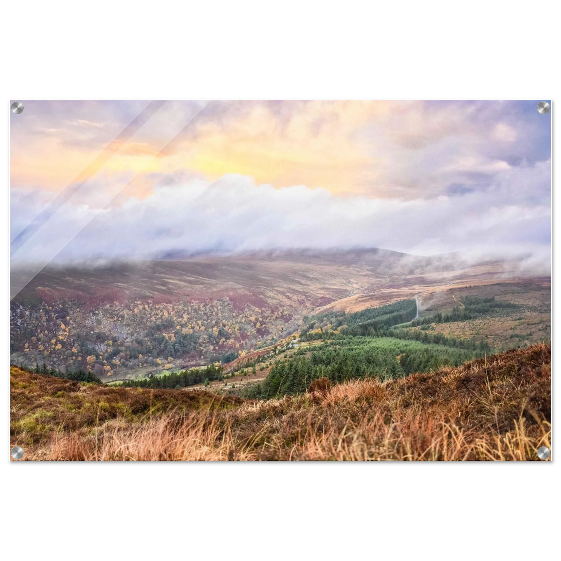 758612ab-8399-4661-b8f3-76f9fd686a9e