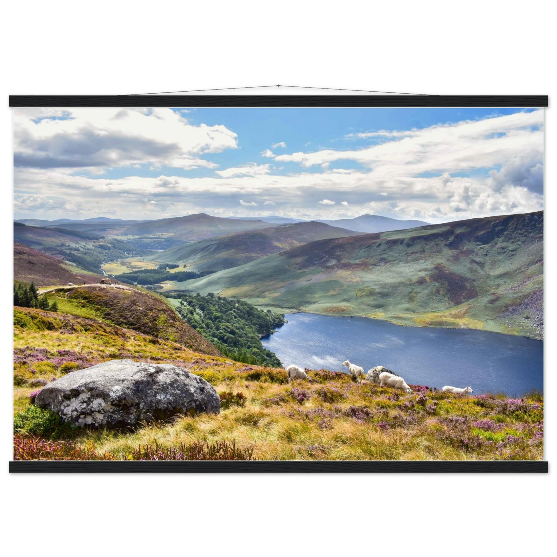 761e5f2b-3db2-4911-9716-b73c45c653cd