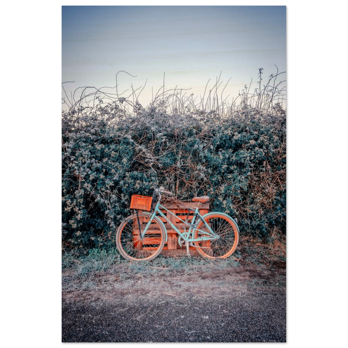 76447910-8834-4a48-993c-63cc416ed506