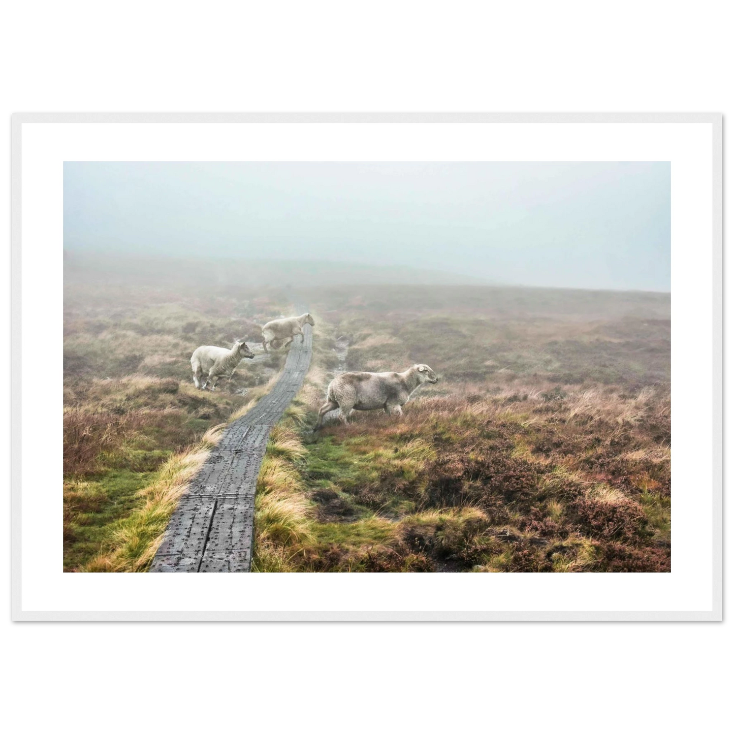 766bd273-ce93-4707-a41f-a82a7ac17607