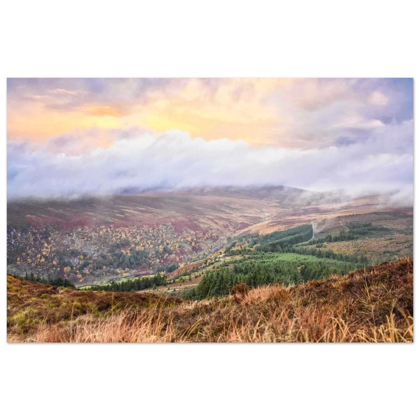 76c33f56-5657-4b72-b5cf-4e51644157ed