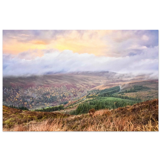 76c33f56-5657-4b72-b5cf-4e51644157ed