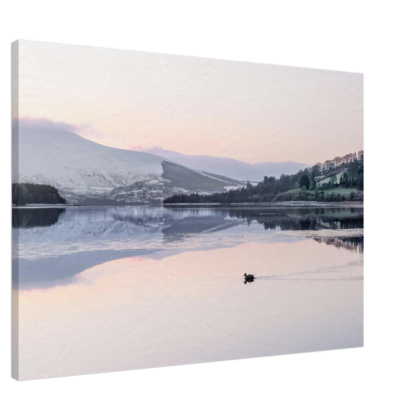 76c5f965-3ecf-457a-a236-0a78543d18cc