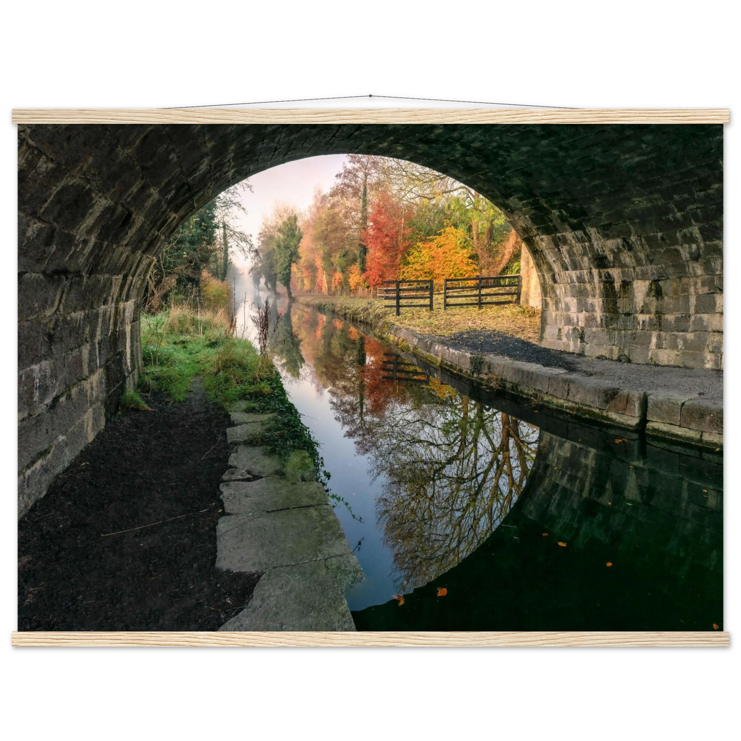 76f67325-56e4-4d4f-82c5-ba5518994676