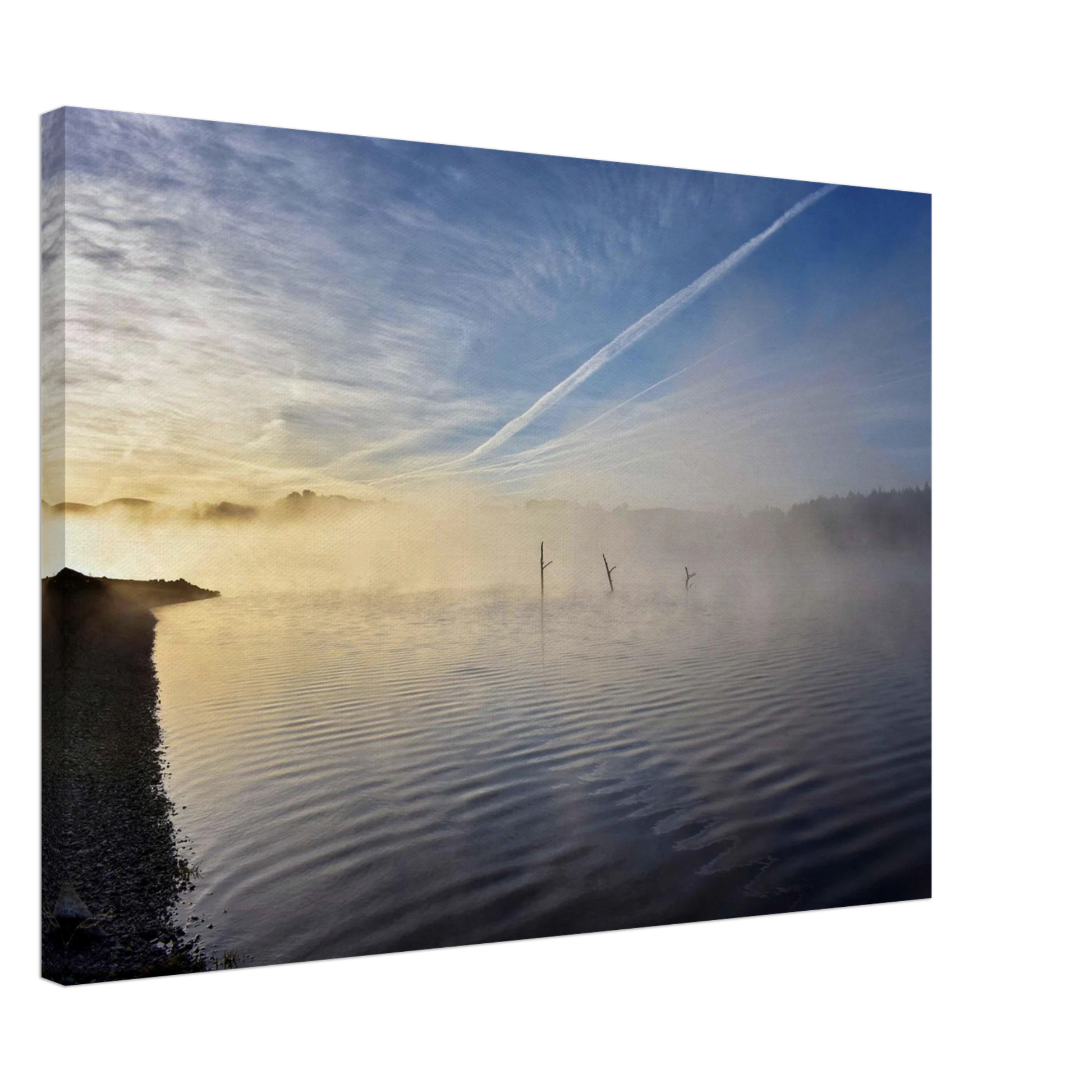 76fa4a38-5c09-46fe-bf5e-7661f91527ce