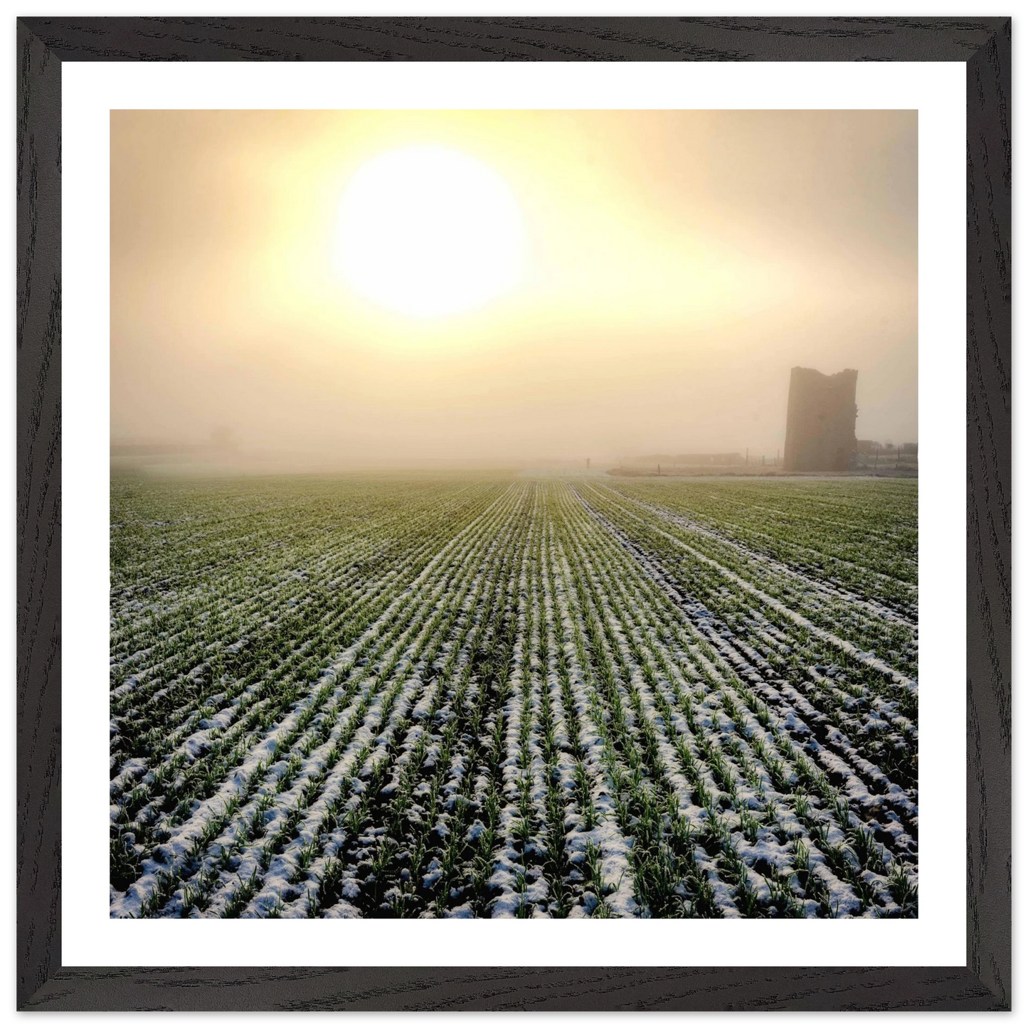 7710e88c-8ef1-49ea-b2b1-1b1056e3d592