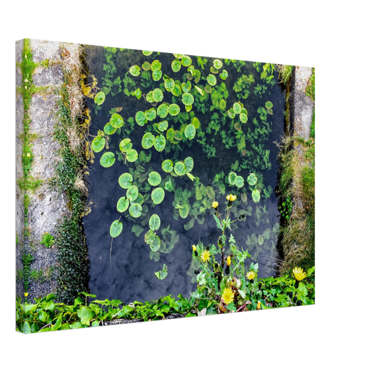 771cce36-43b4-4b80-9a74-f2c5087be81c