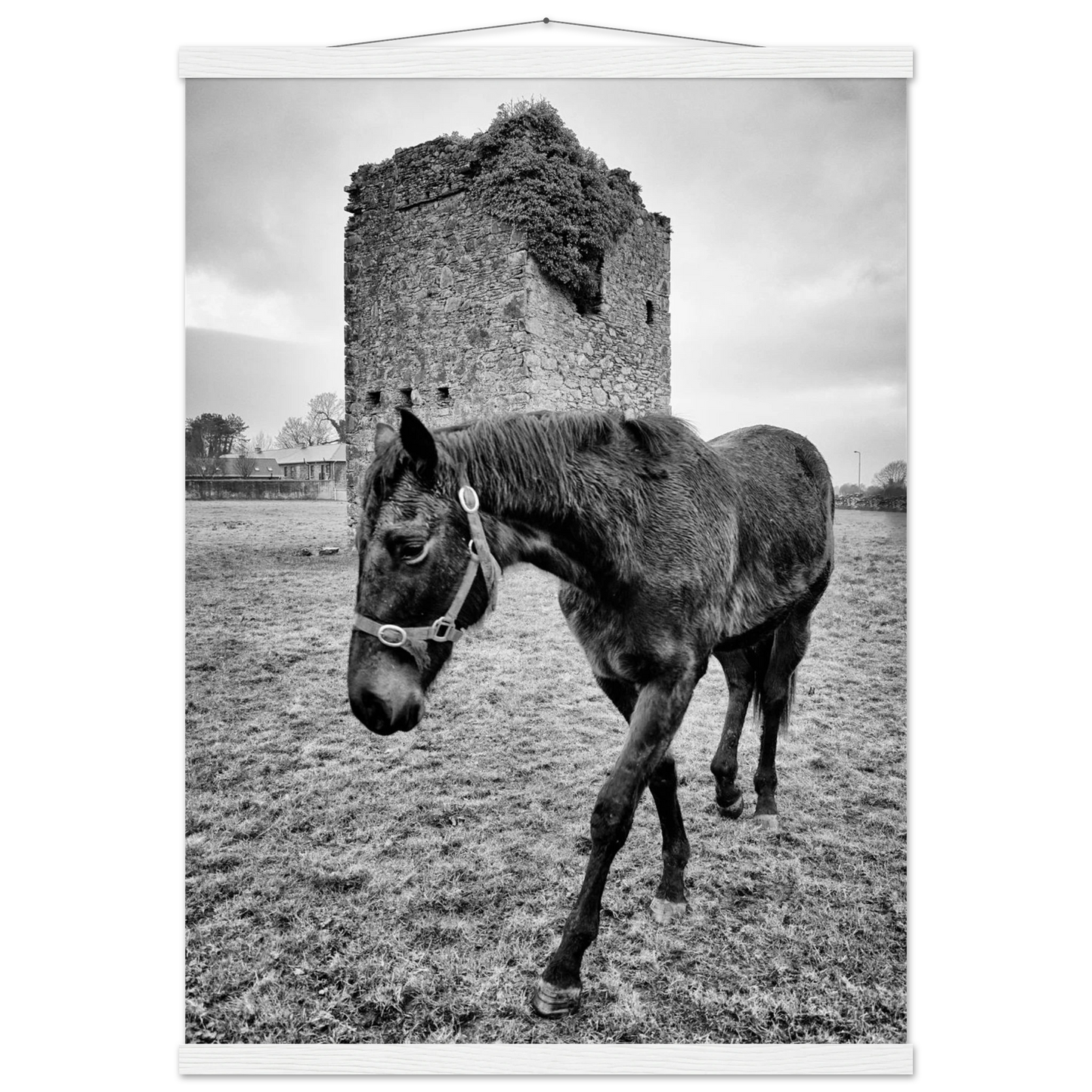 77bf7d3b-93f0-4864-96a8-7f45921decea