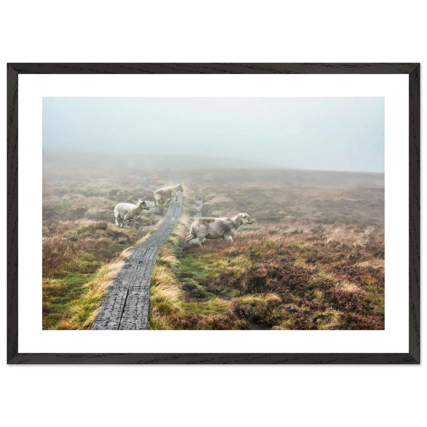 77c0775d-3dfe-47f7-b555-ca5d73ff8968