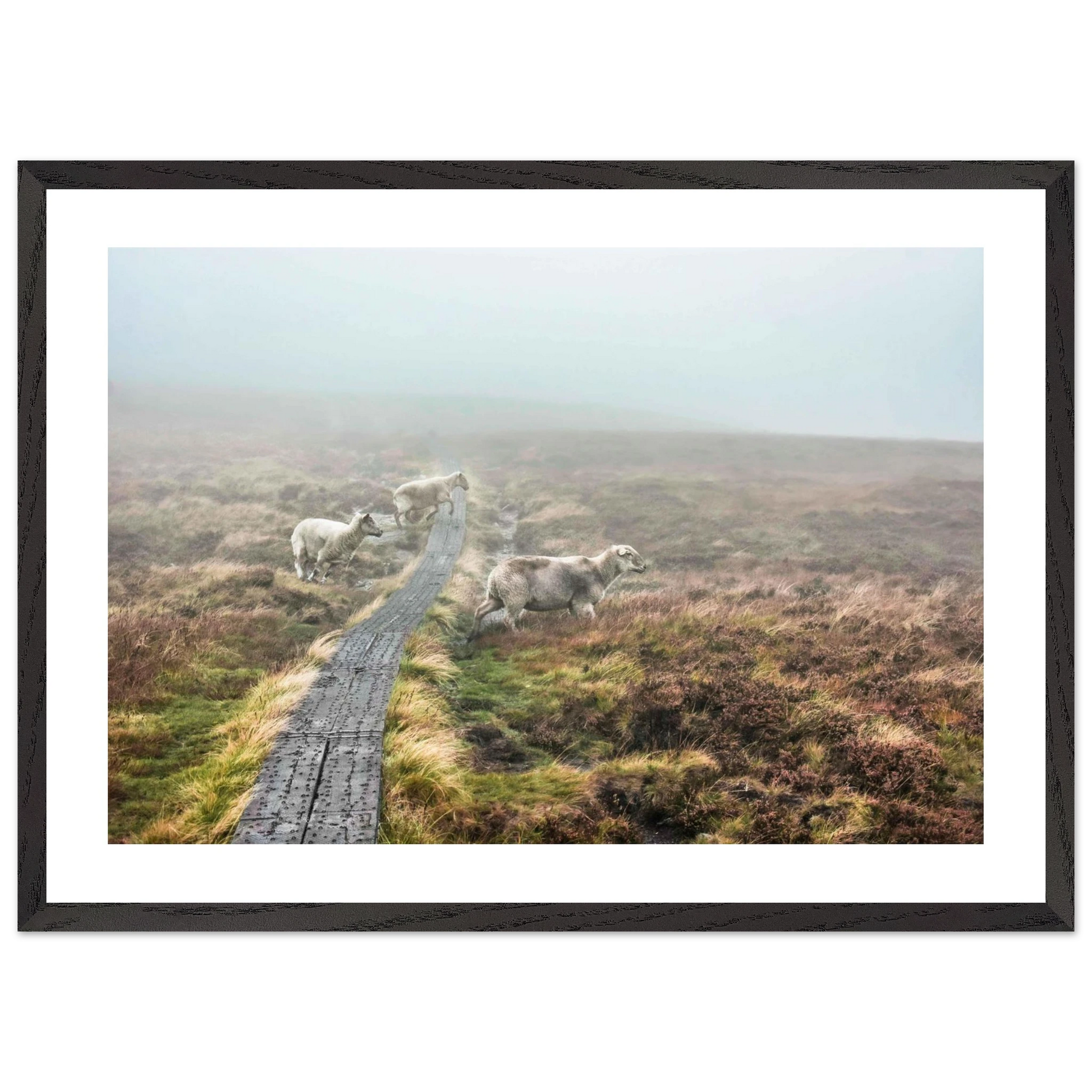 77c0775d-3dfe-47f7-b555-ca5d73ff8968