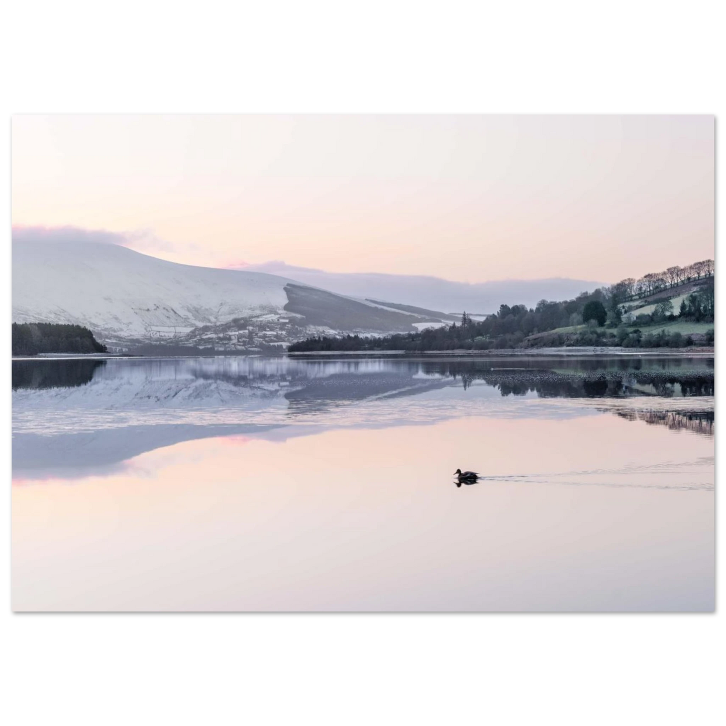 77cb930b-6d5a-435c-9633-a528e8a2a461