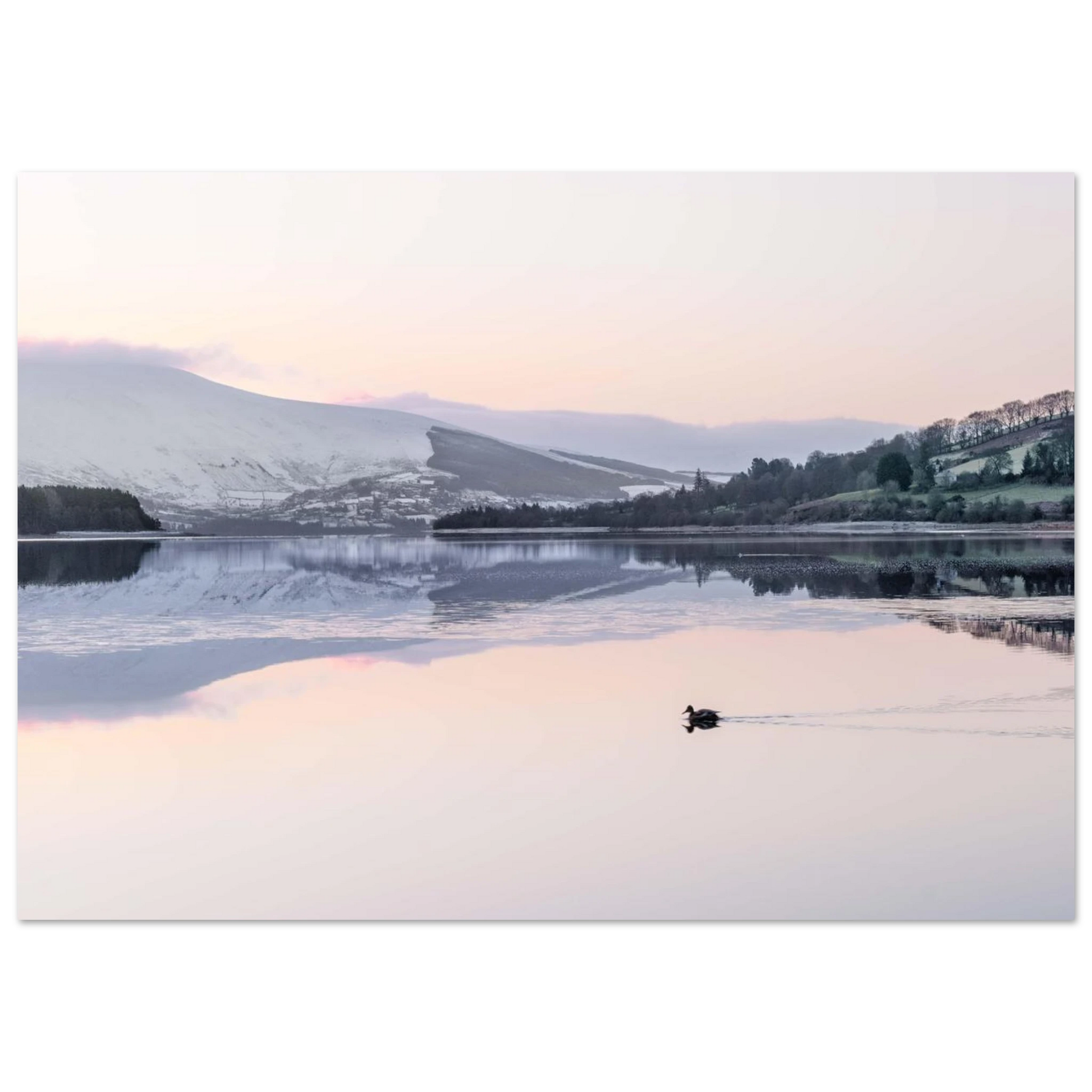 77cb930b-6d5a-435c-9633-a528e8a2a461