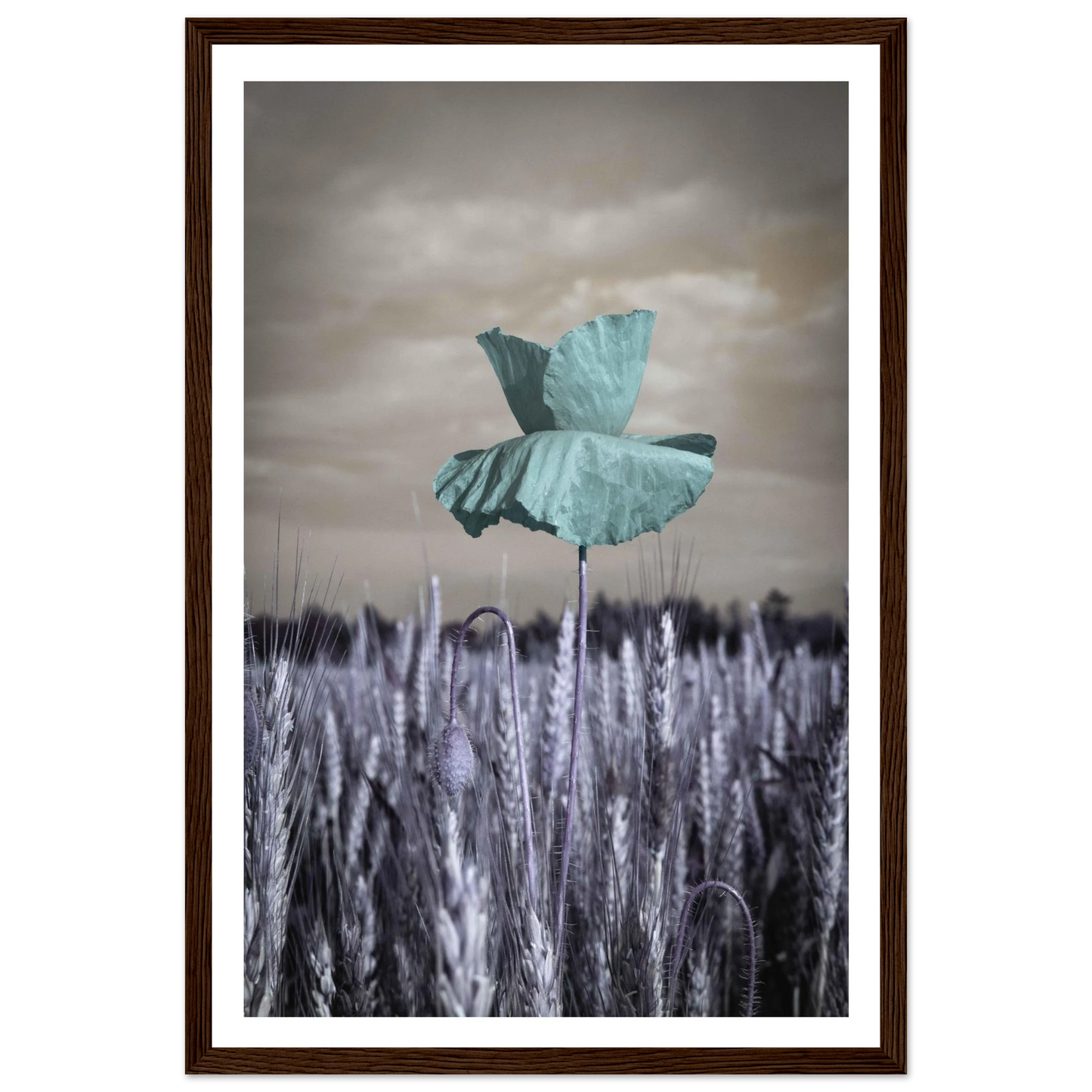 780ea421-353f-4eb7-98fd-d7576c2cdfc7