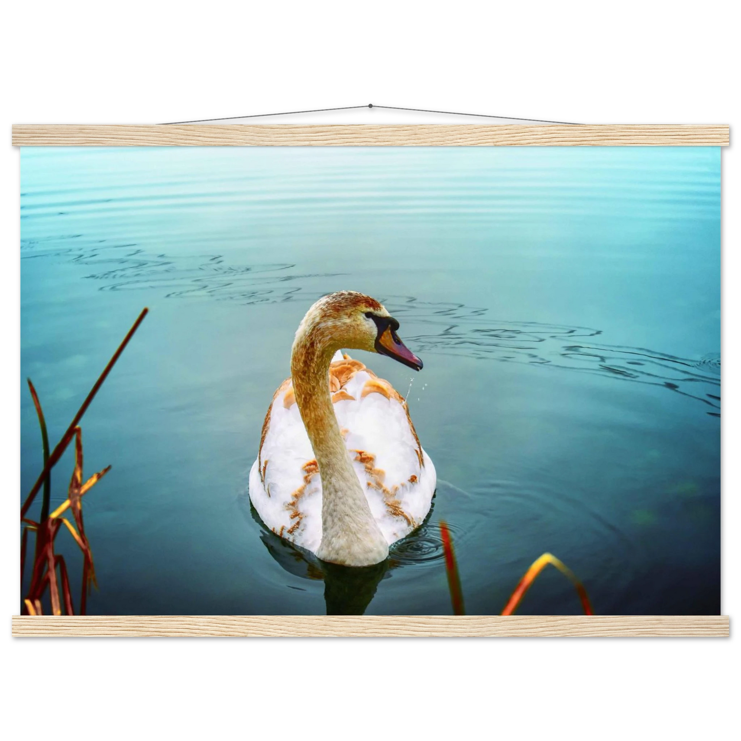 7821b89d-2142-4246-b65e-c7357566fa7e