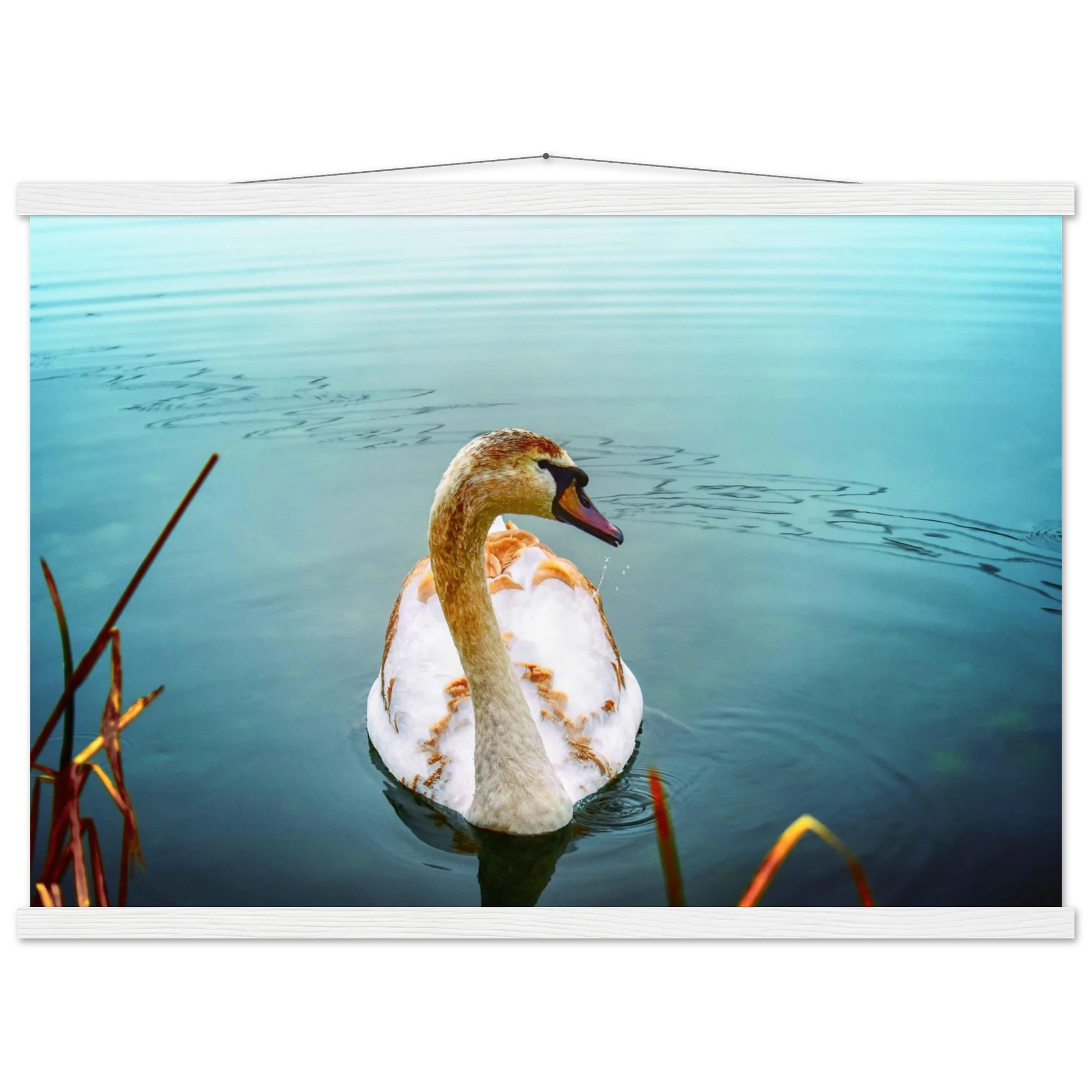 78a8db64-8a5a-49cd-8e78-c57ccc3c919f