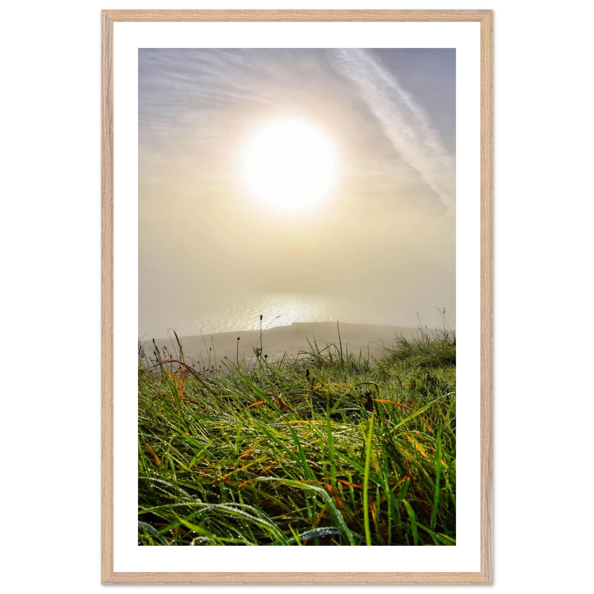 78b333a1-09f7-487d-8d57-b1165f6a4401