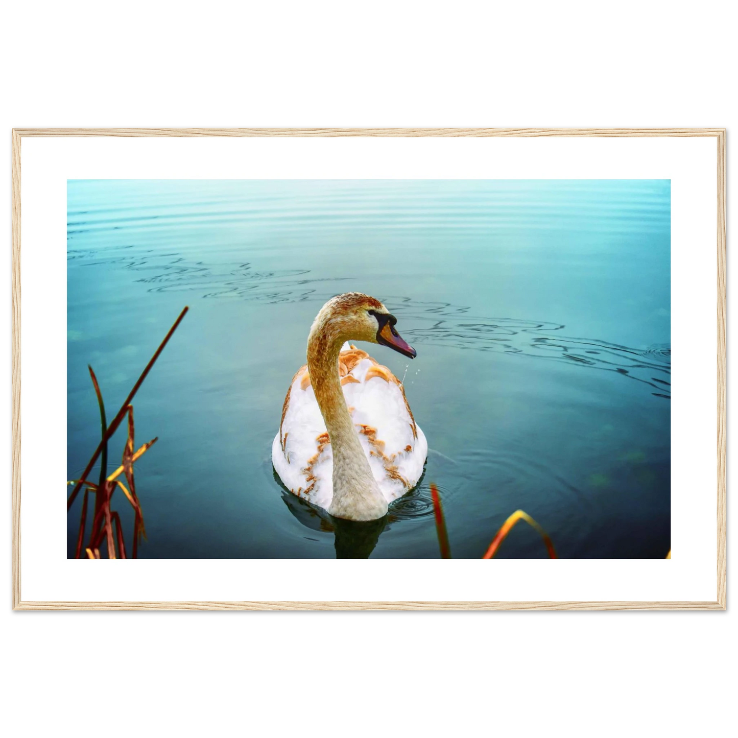 78d2e984-a516-4a45-a7b8-4fcafb5db82e