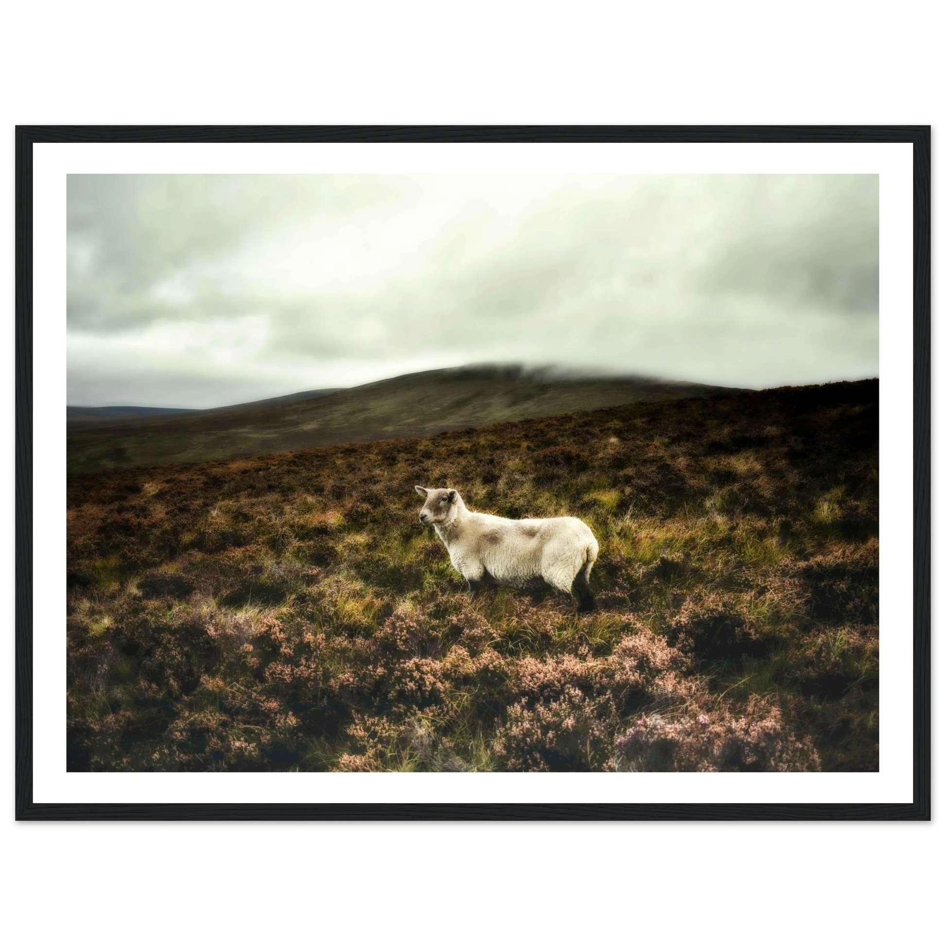 79d13920-c57e-40b2-8540-bb82c679643d