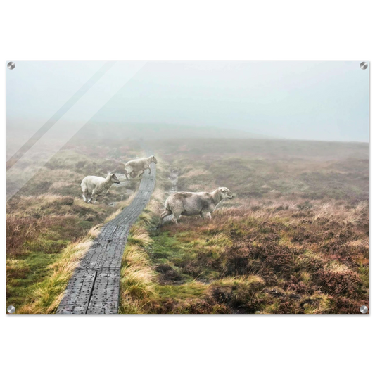 7a2dfce8-94ca-46e8-97f7-79949ec2d449