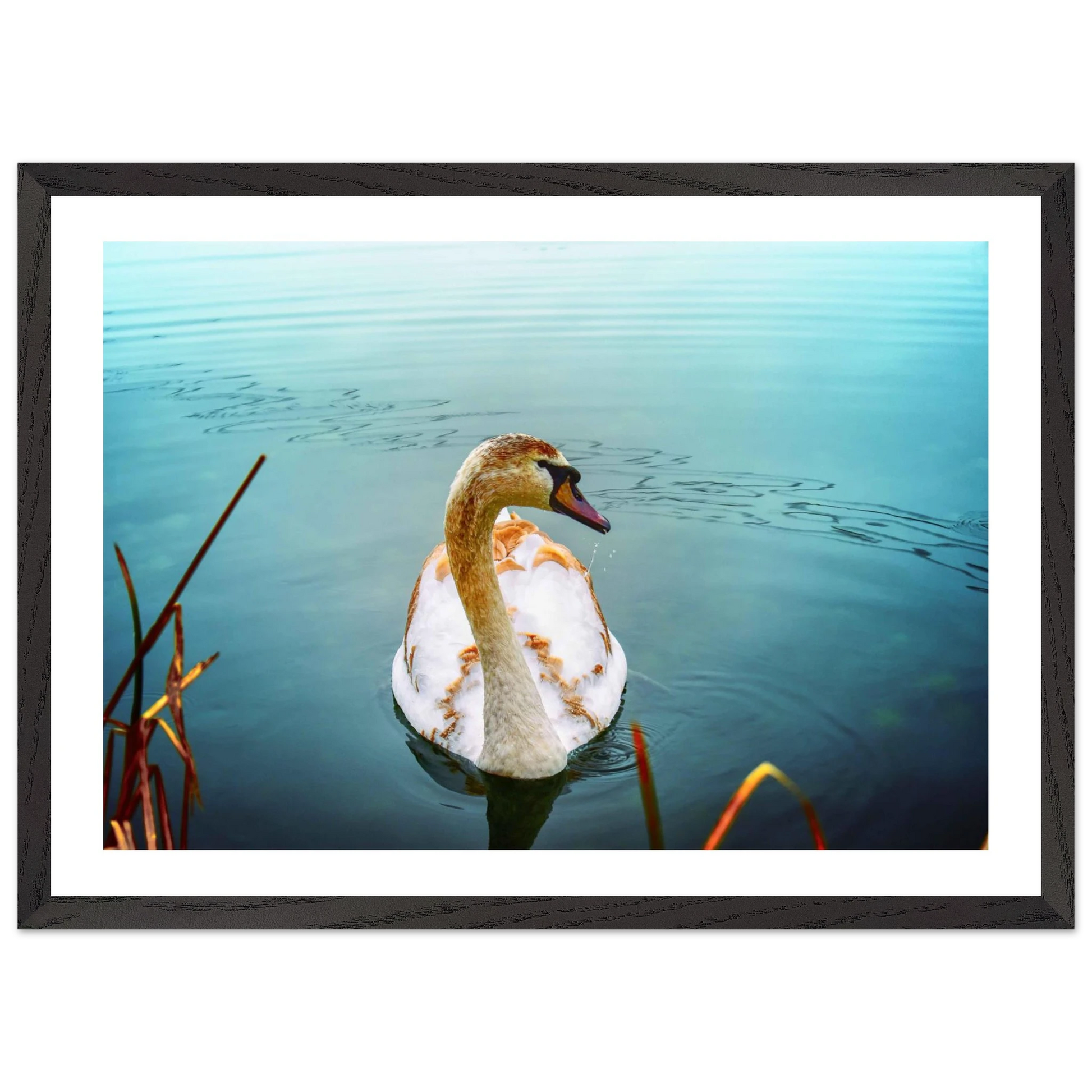 7a9e51a0-28c5-43de-a3a2-af6a4b25cd0c